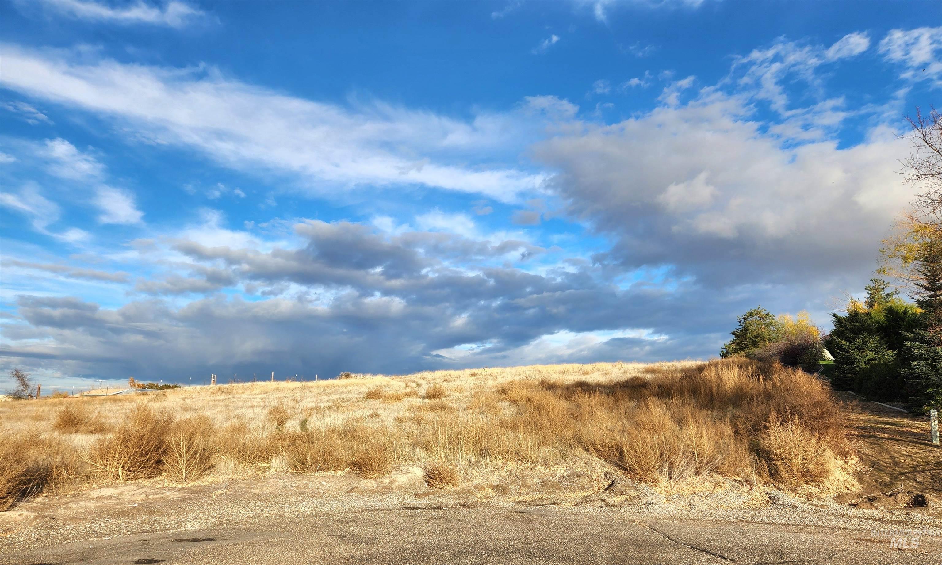 TBD Casa Rio Dr - Tax Lot 7800, Ontario, Oregon 97914, Land For Sale, Price $99,000,MLS 98967394