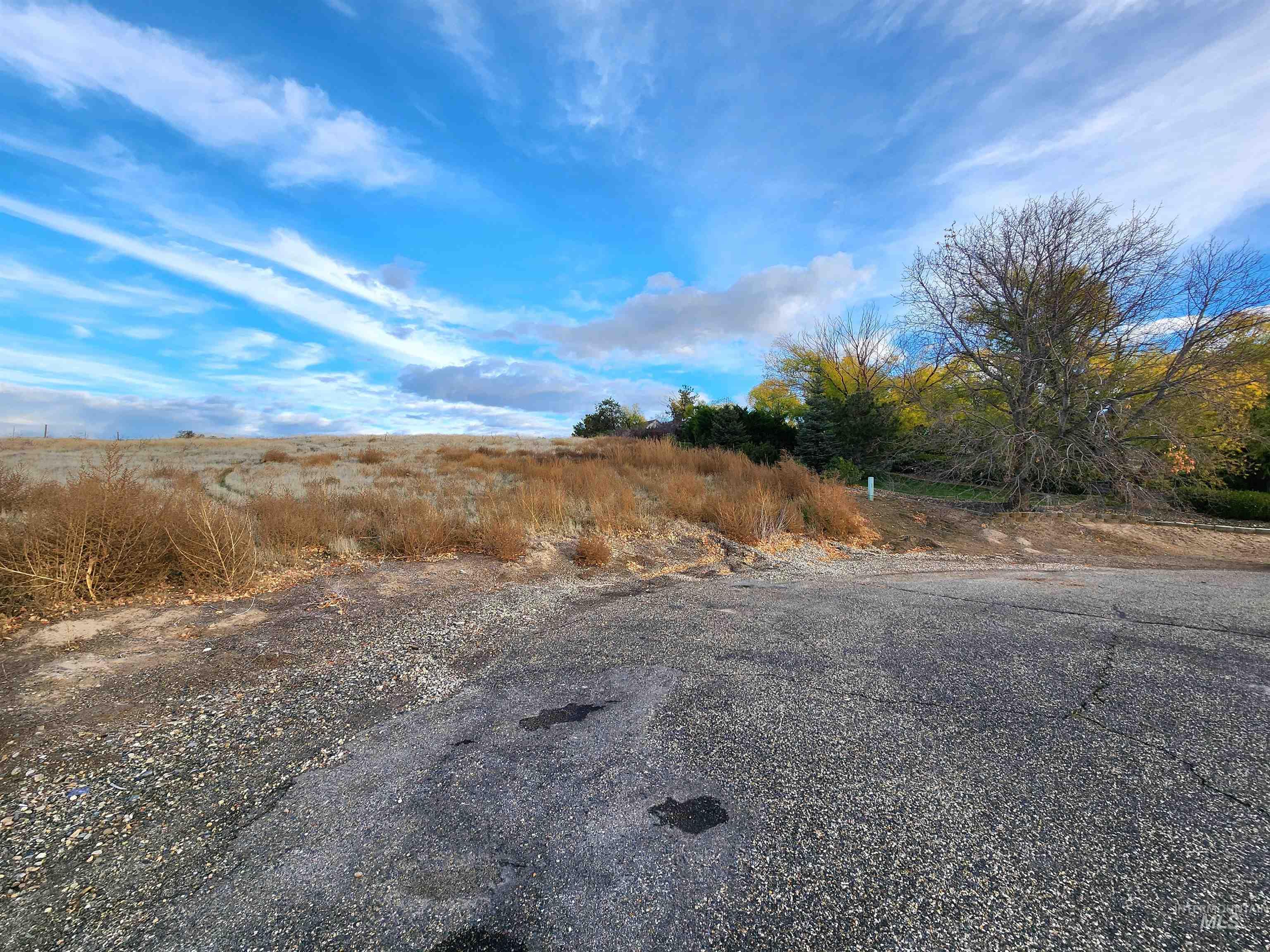 TBD Casa Rio Dr - Tax Lot 7800, Ontario, Oregon 97914, Land For Sale, Price $99,000, 98967394