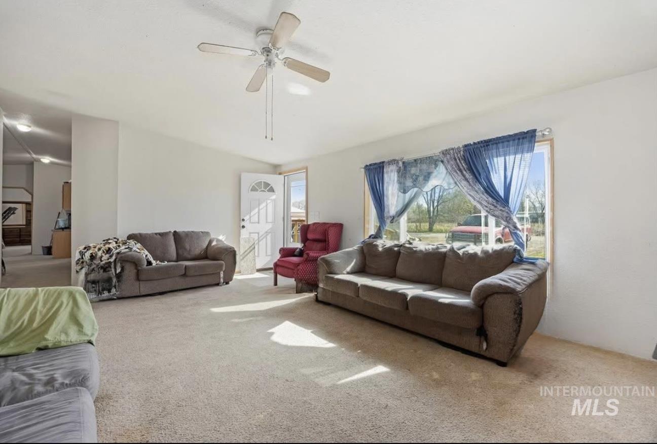 Carpeted living area featuring ceiling fan