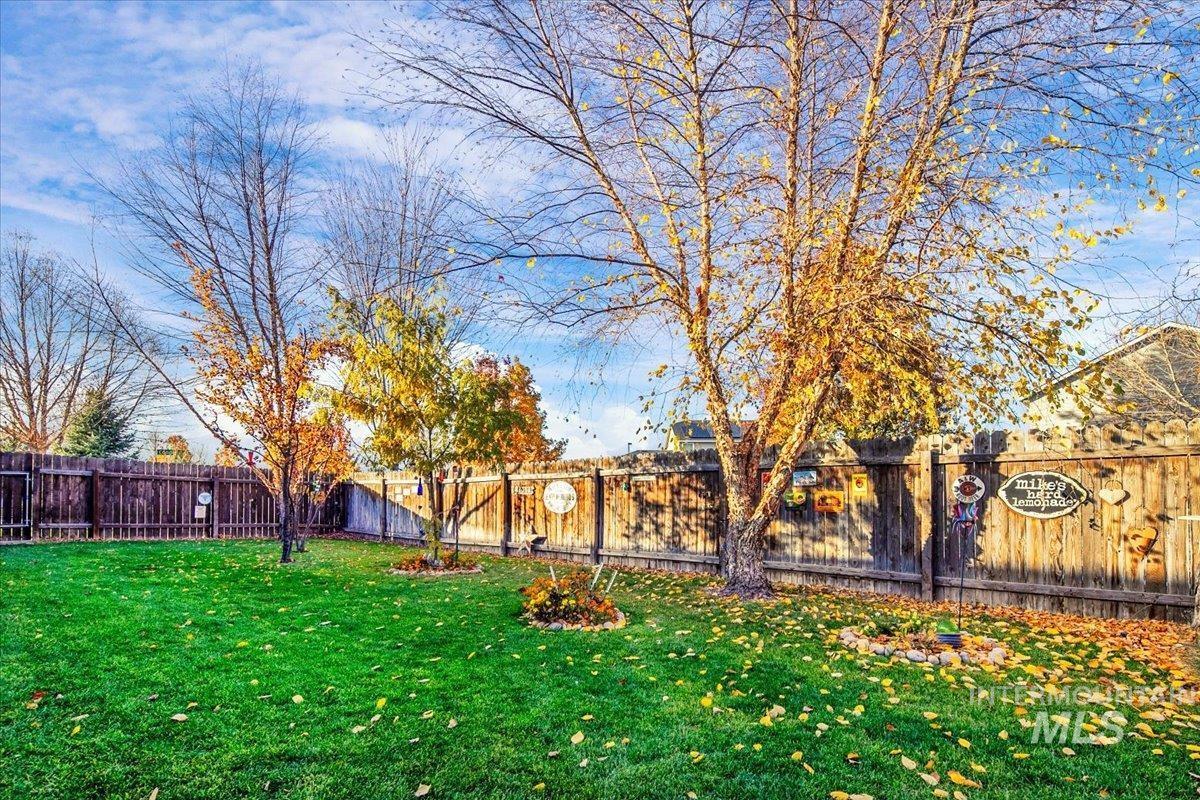 View of fenced backyard