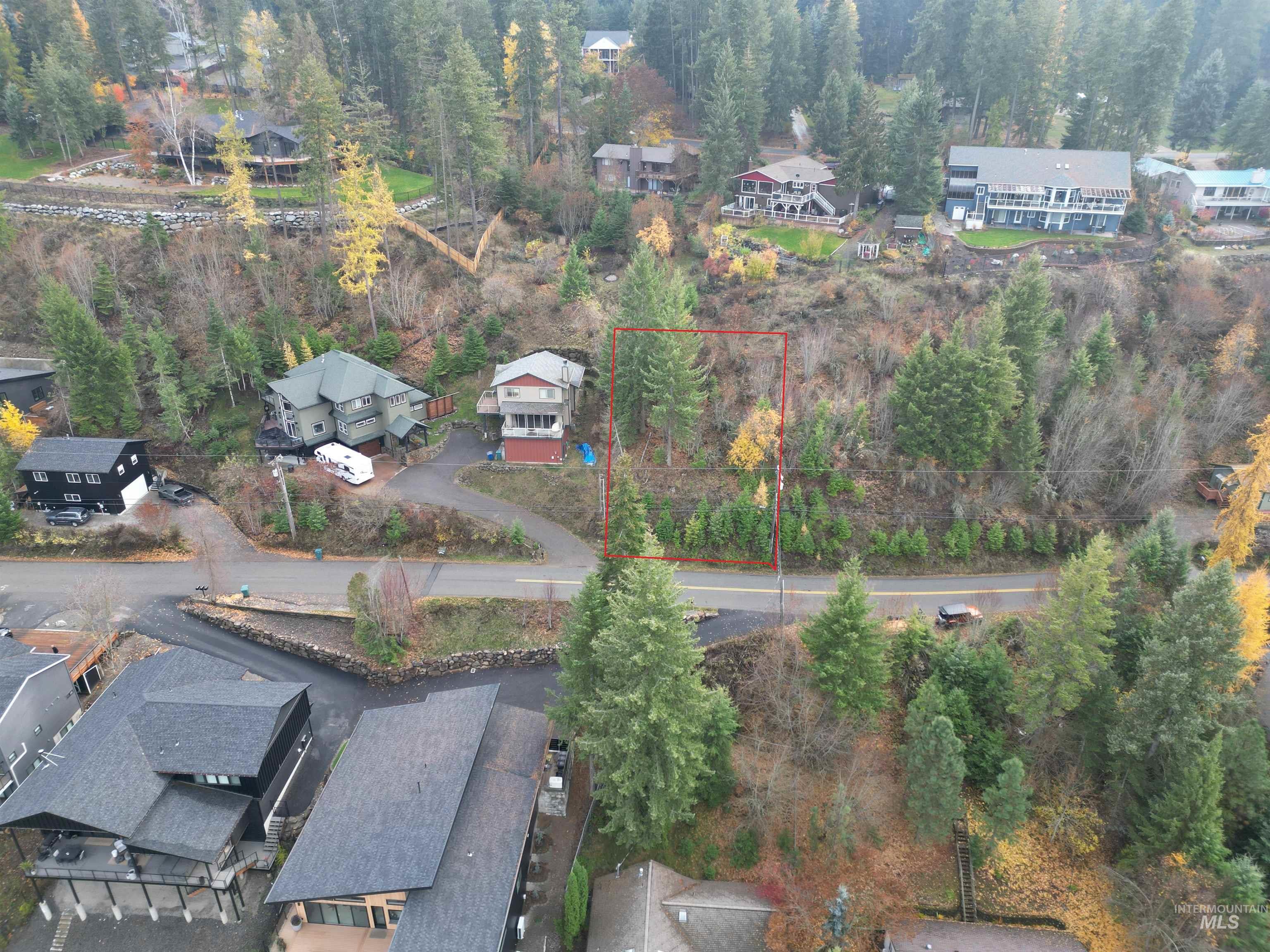 Aerial view of residential area with property boundaries highlighted and a heavily wooded area