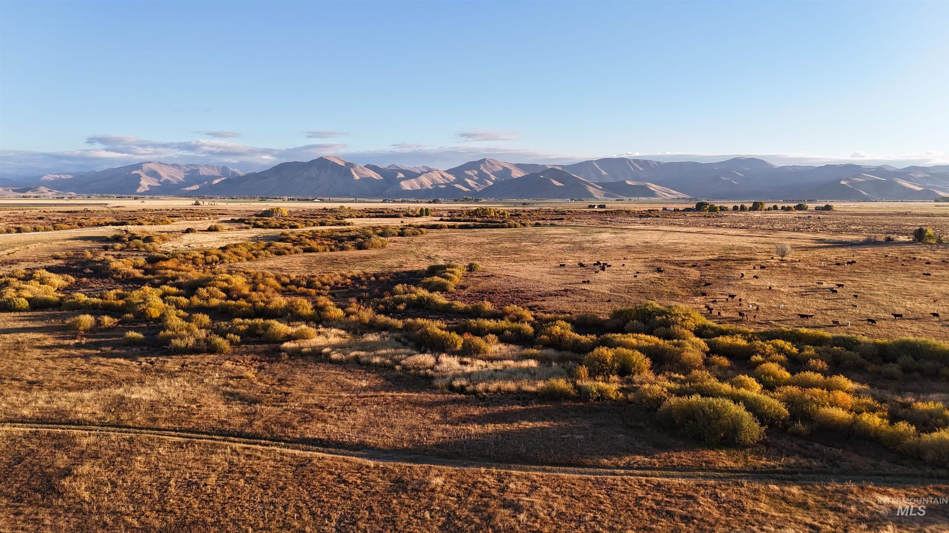 View of mountain background