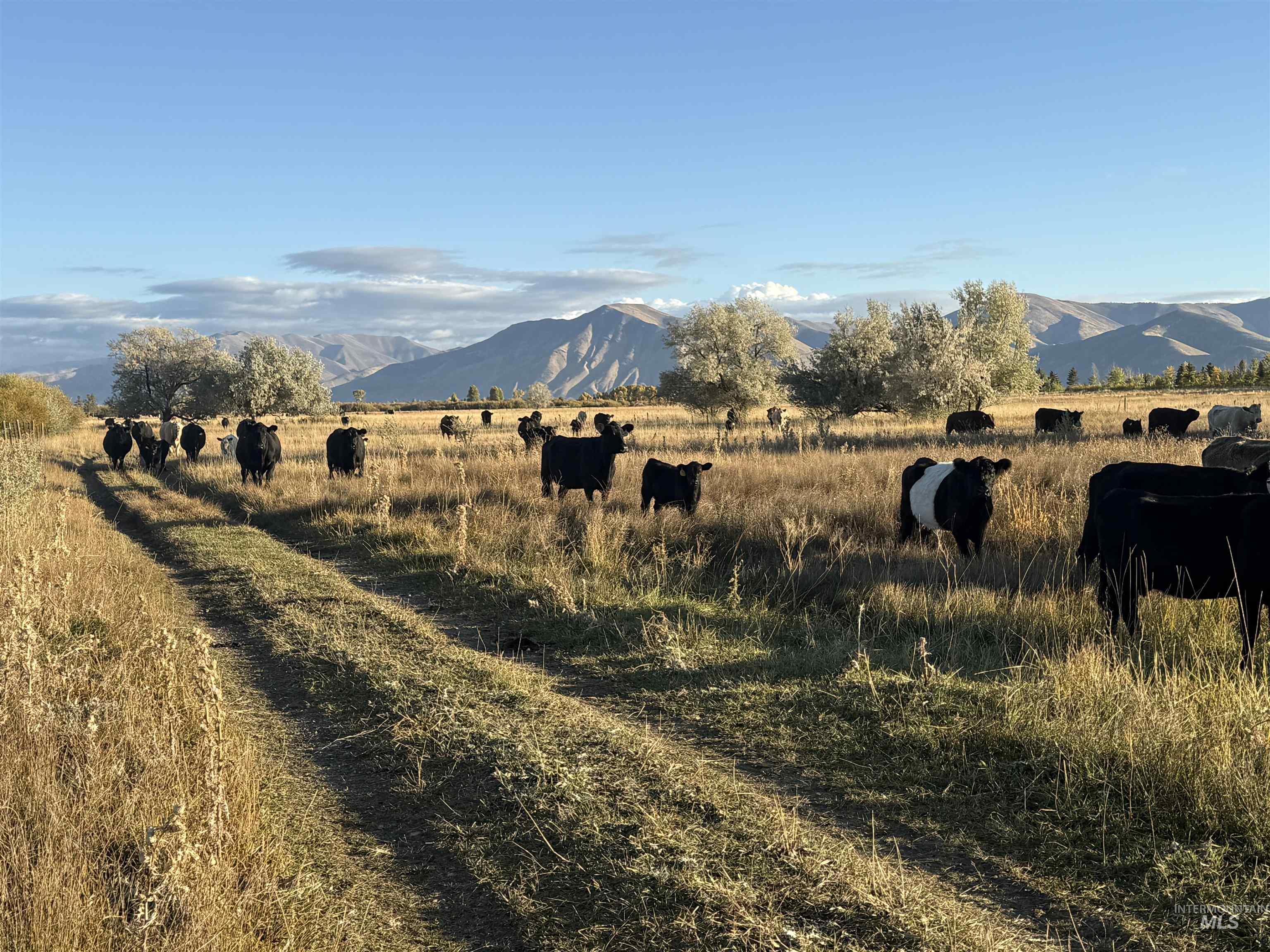 Mountain view featuring agricultural land