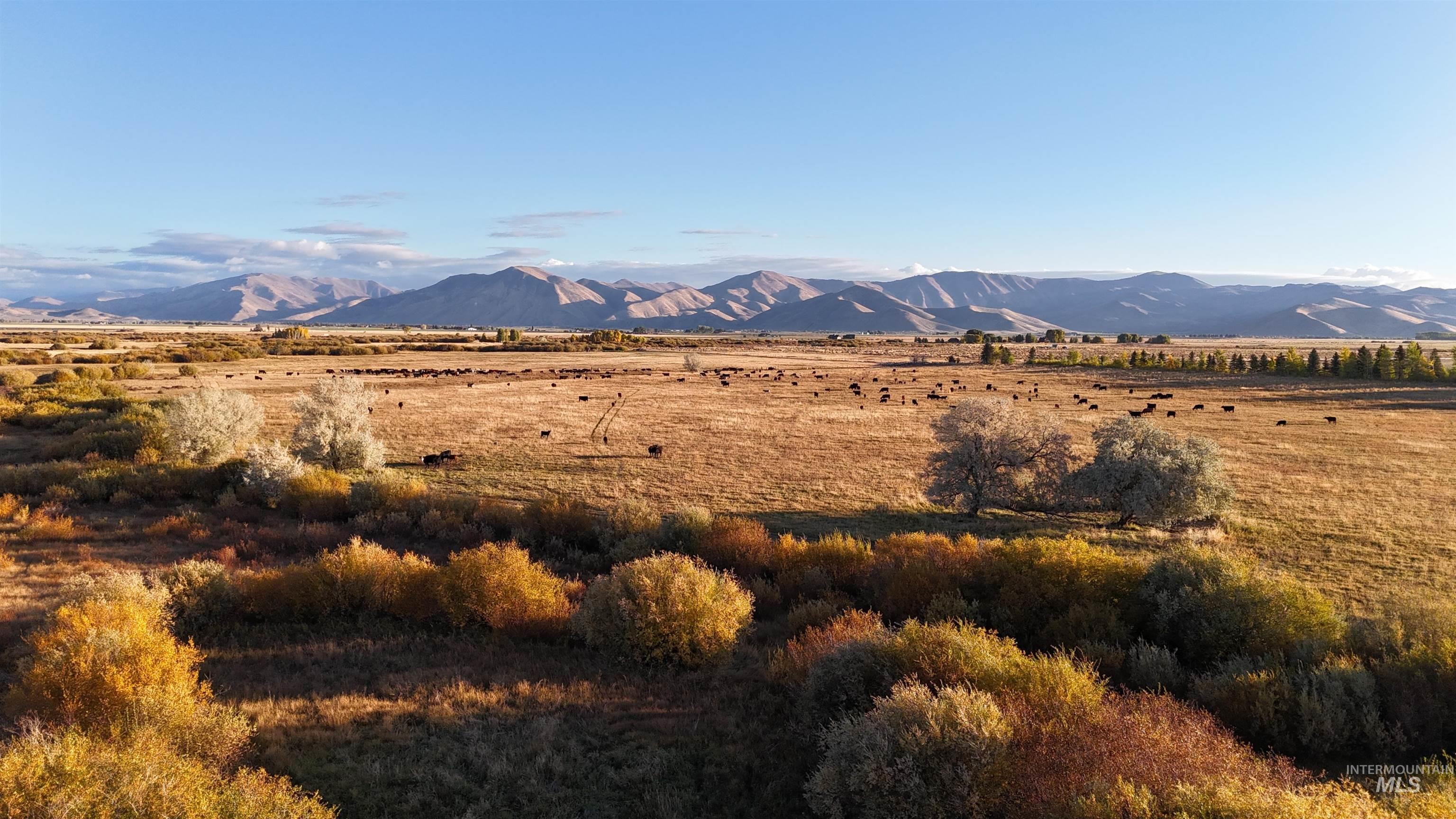 View of mountain backdrop