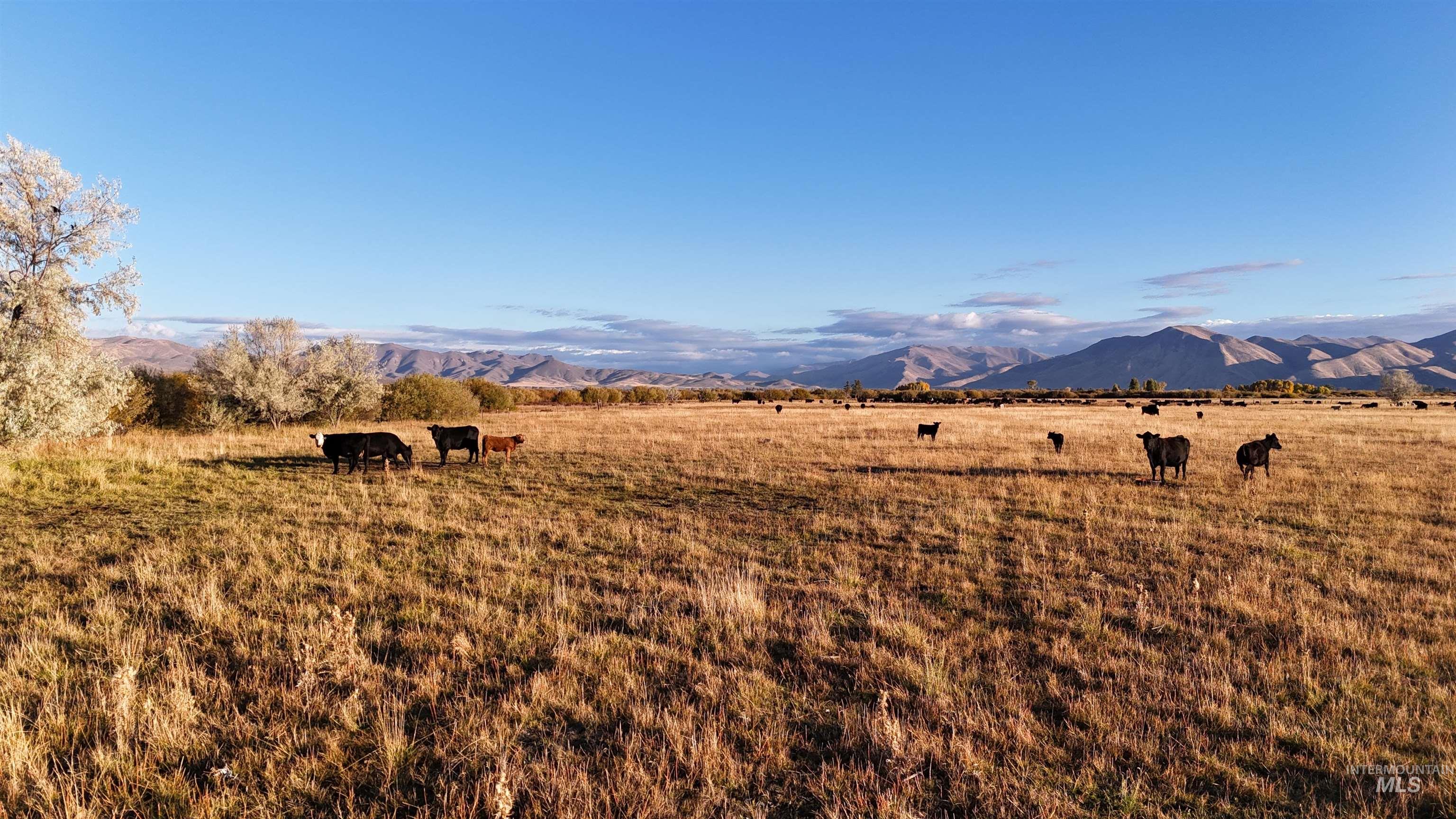 Mountain view featuring a pastoral area and rural landscape