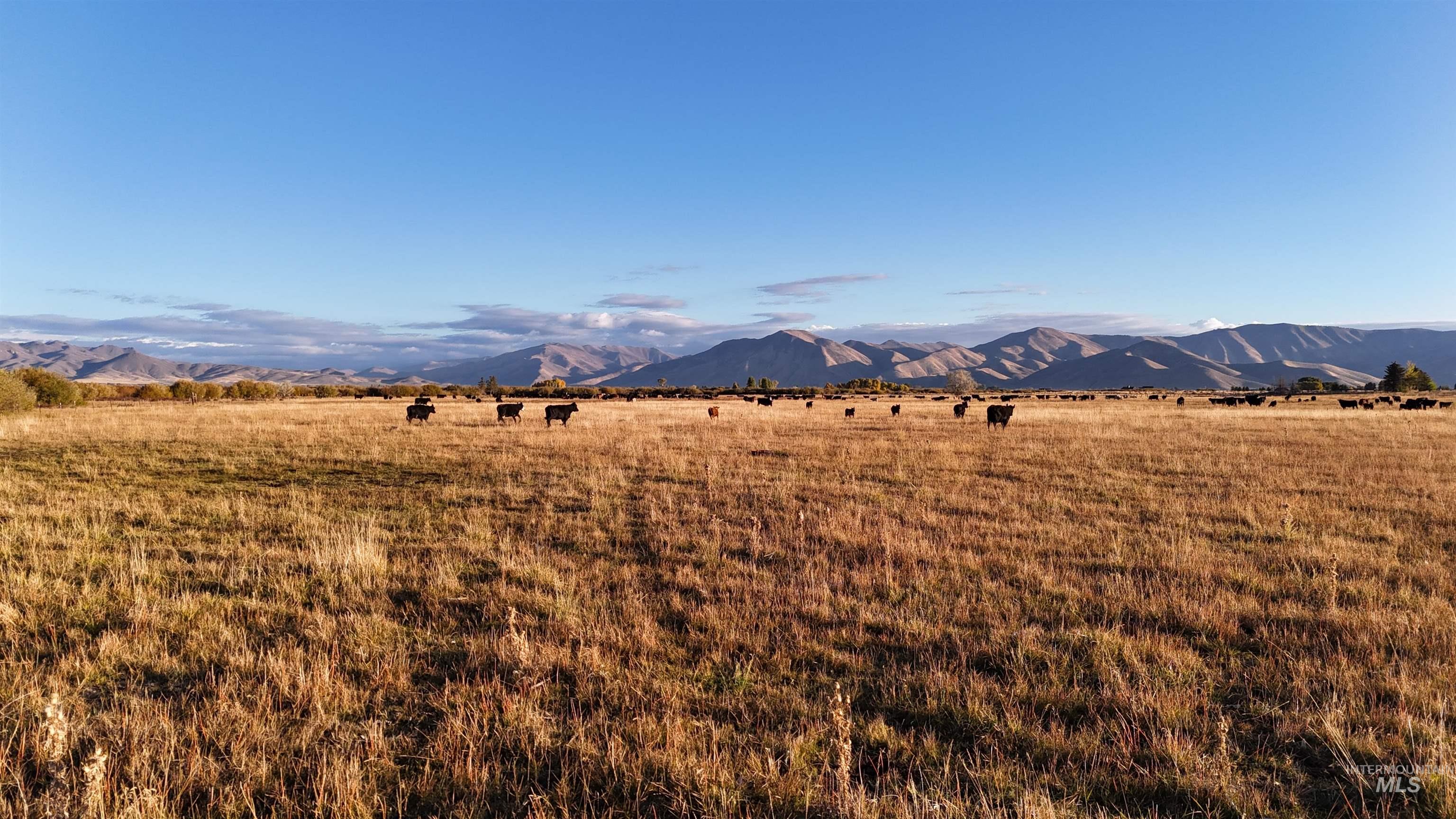 Mountain view with rural landscape