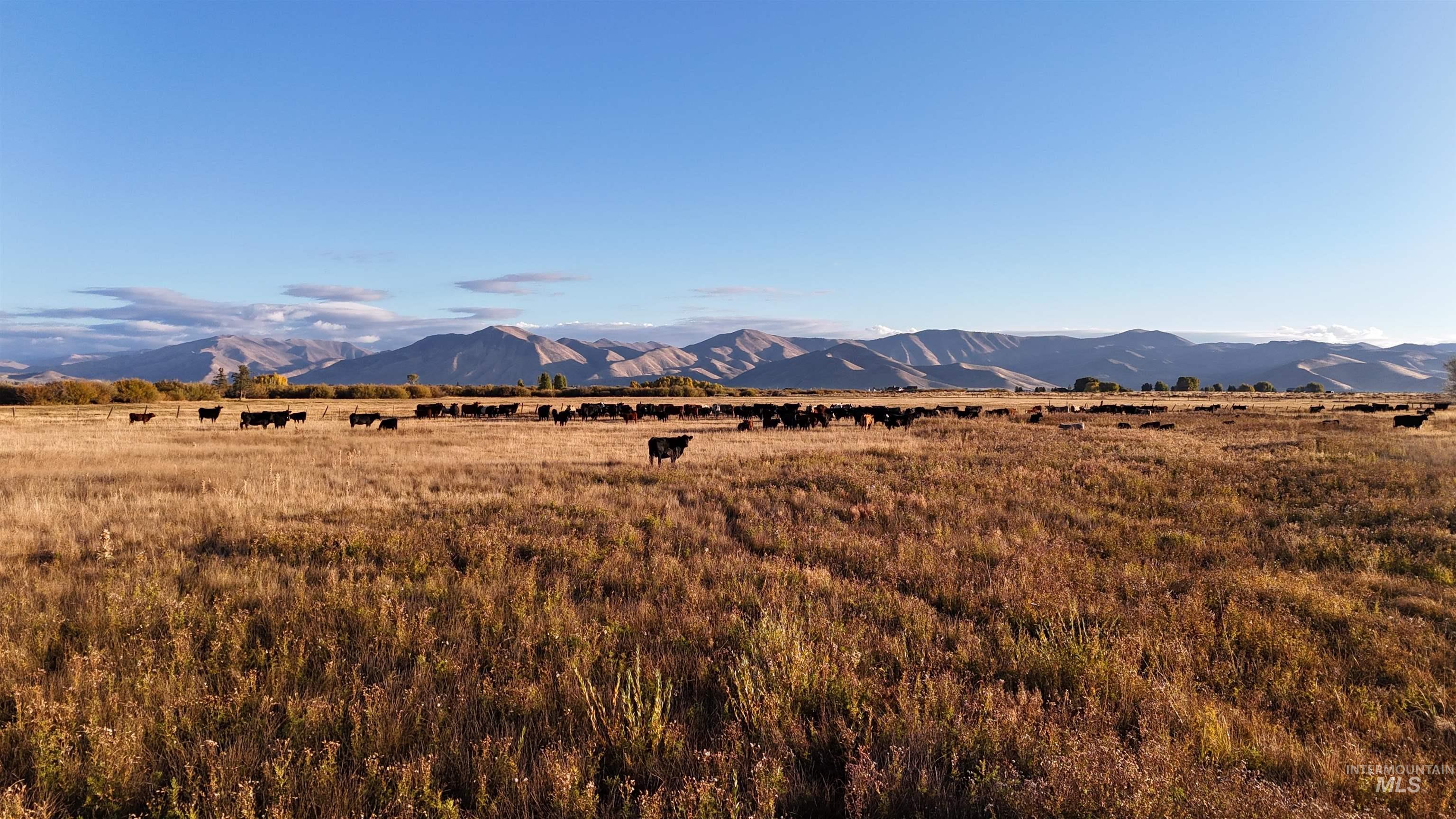 View of mountain background with rural landscape