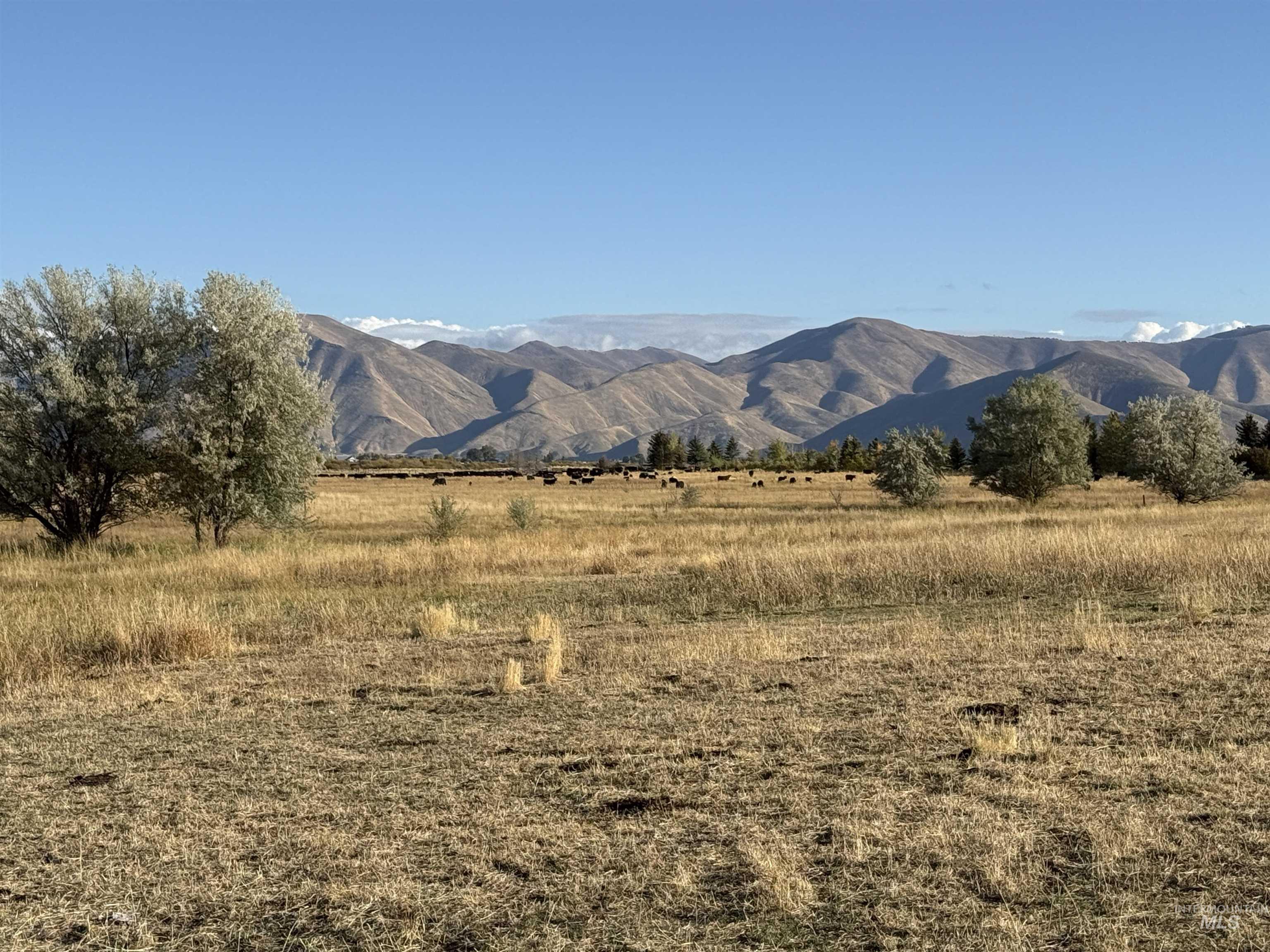 View of mountain background featuring rural landscape