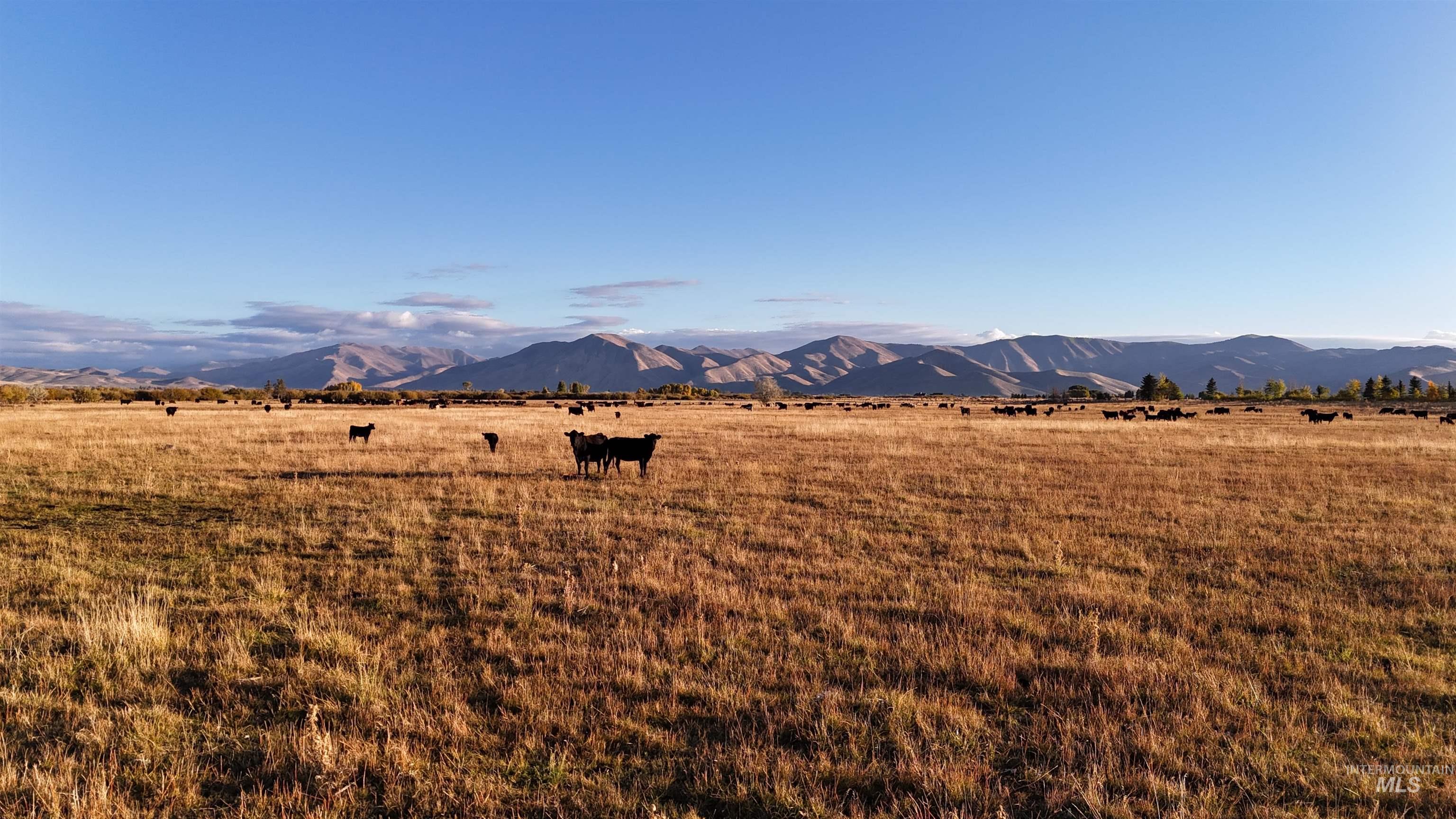 View of mountain backdrop featuring rural landscape