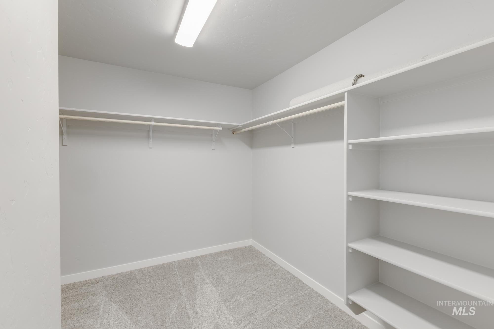 Walk in closet with light colored carpet