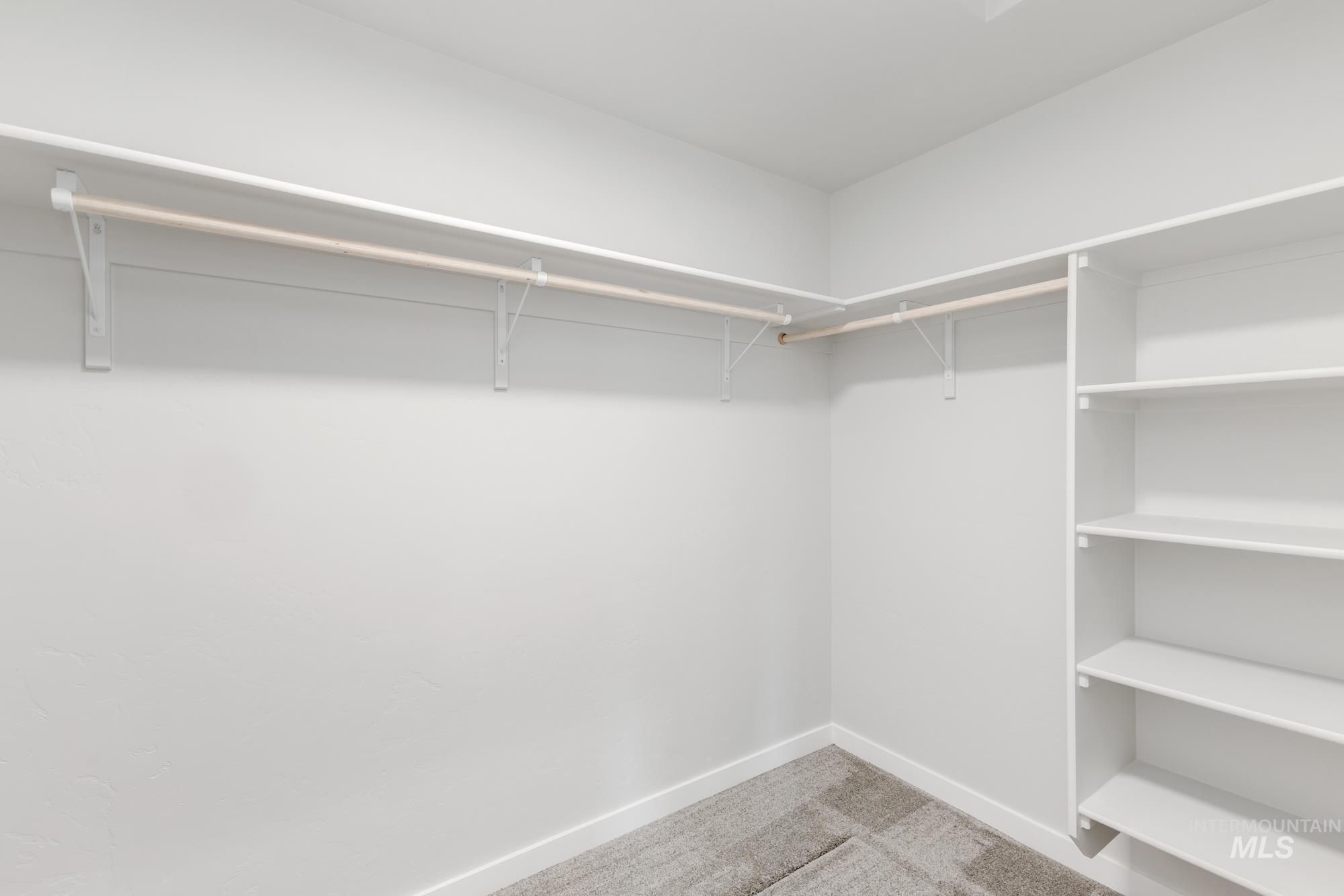 Spacious closet featuring light colored carpet