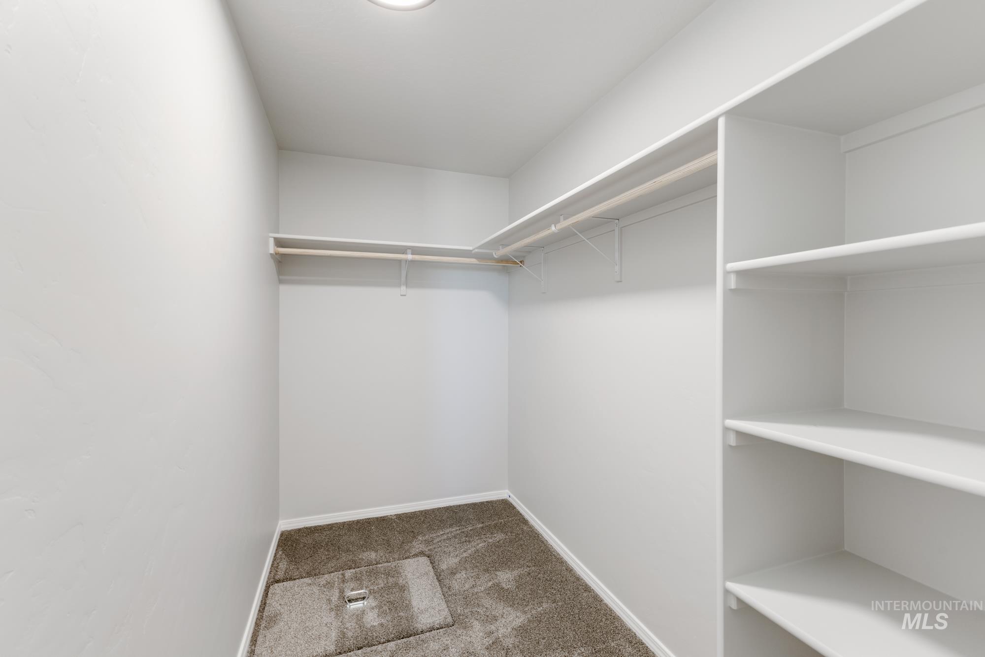 Spacious closet featuring carpet