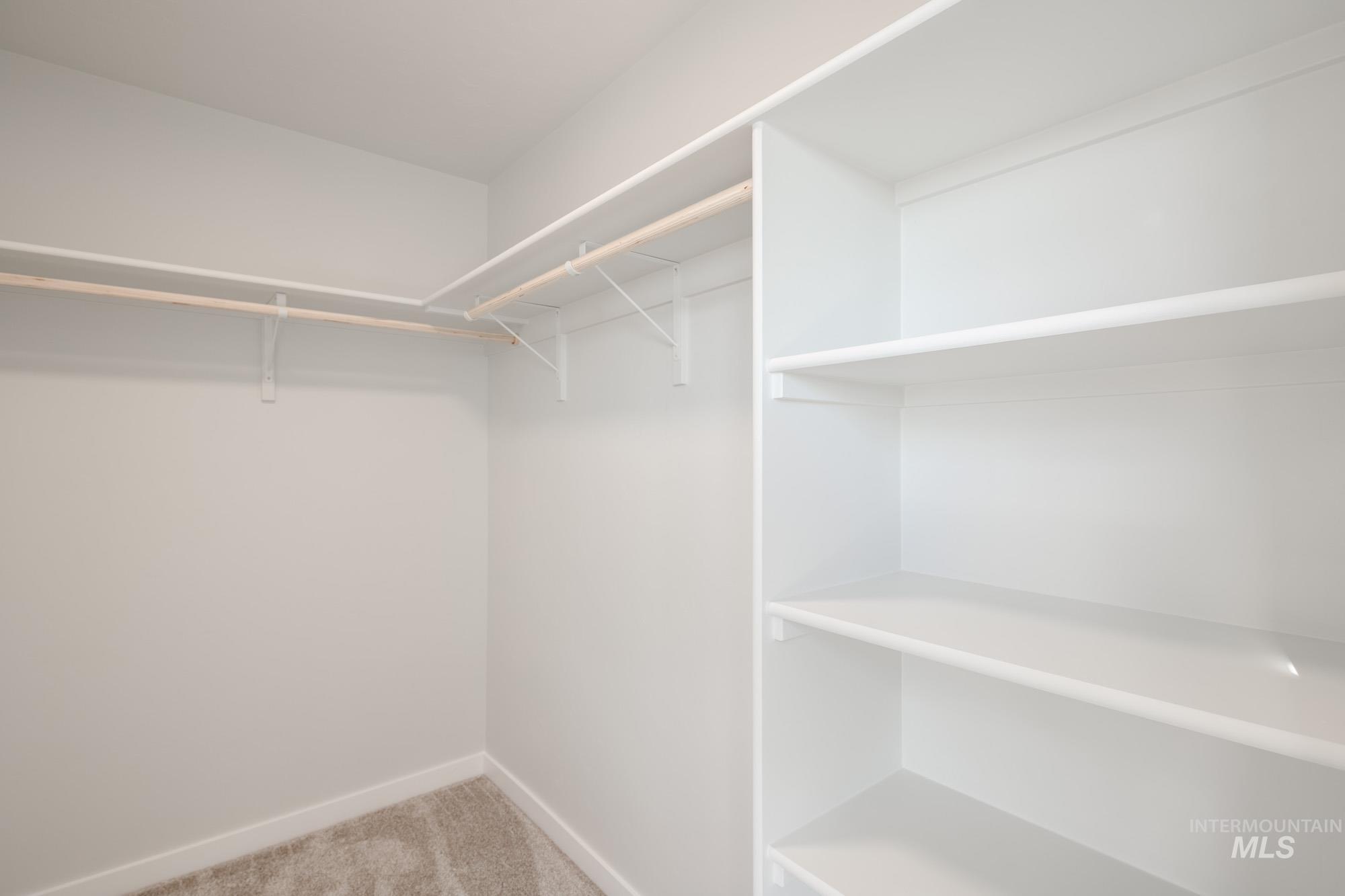 Spacious closet featuring light carpet