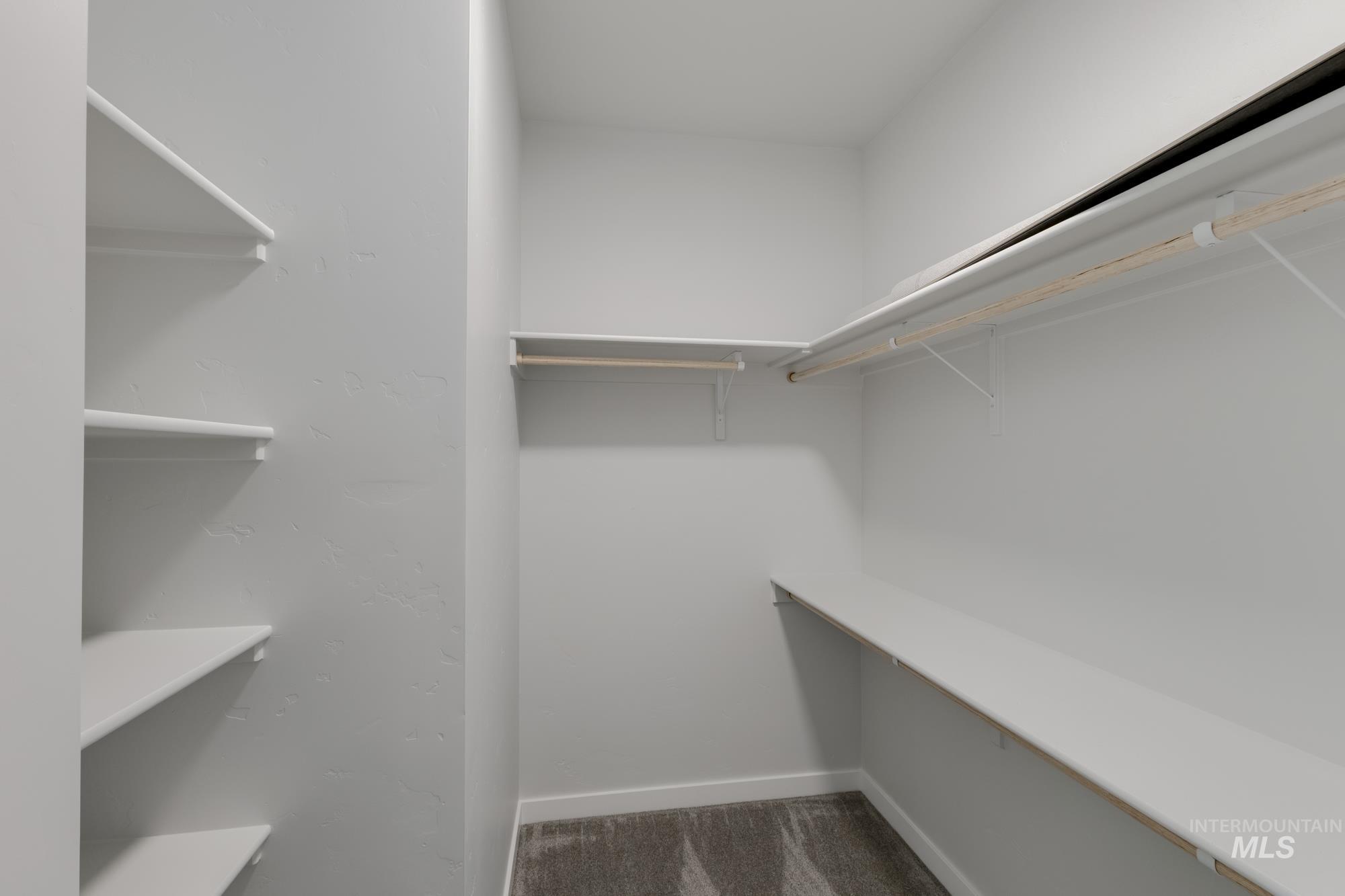 Spacious closet with dark carpet
