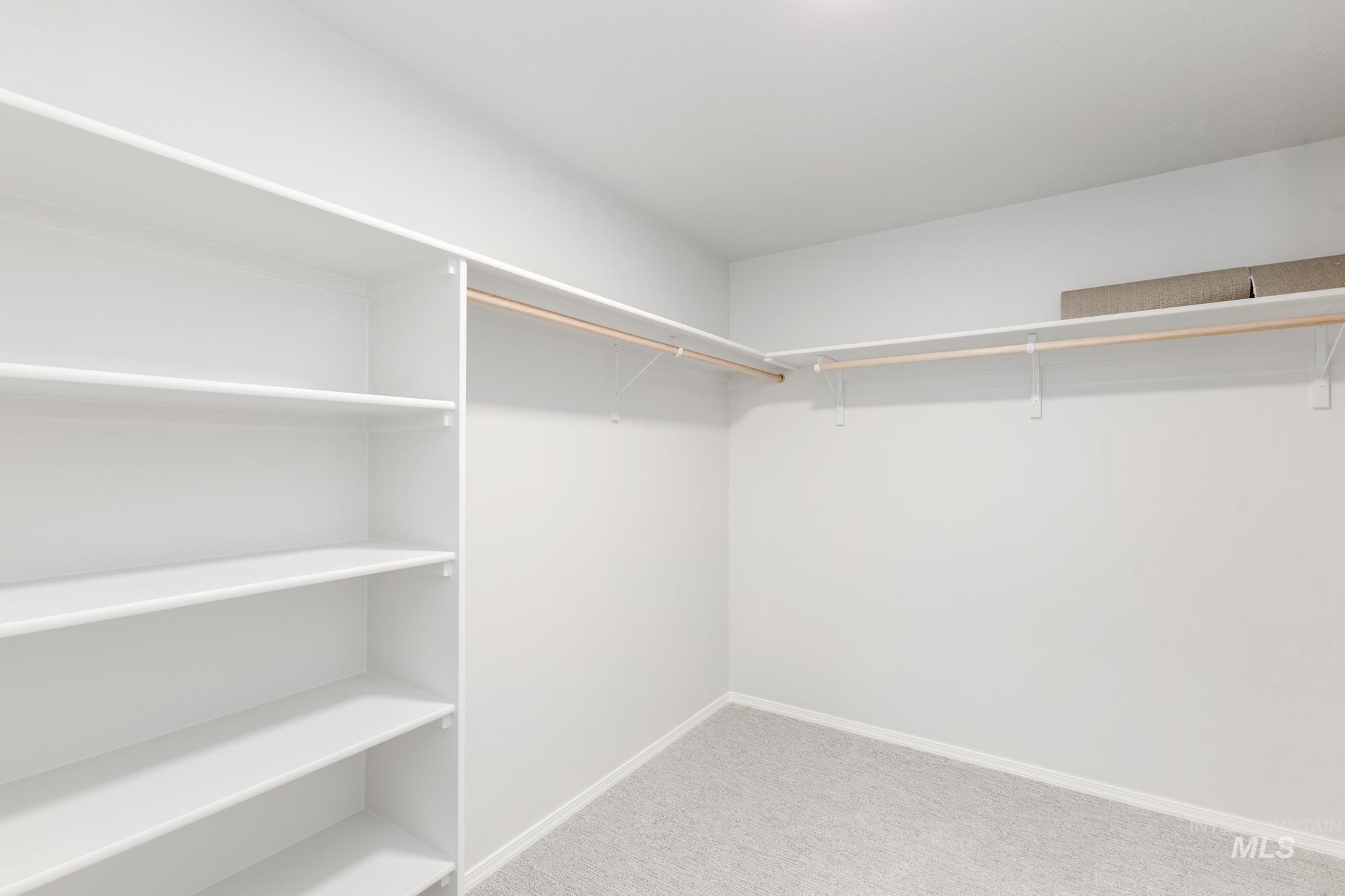 Walk in closet featuring light colored carpet