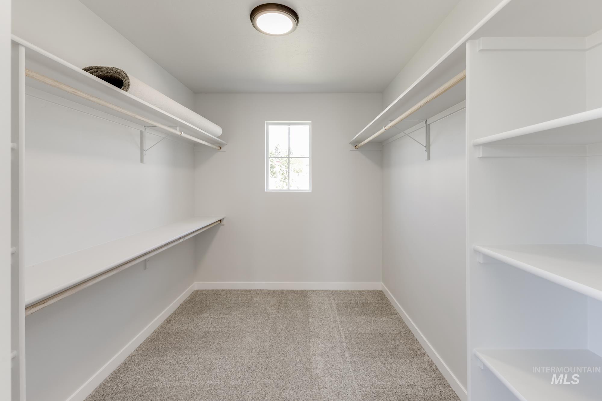 Walk in closet with light carpet