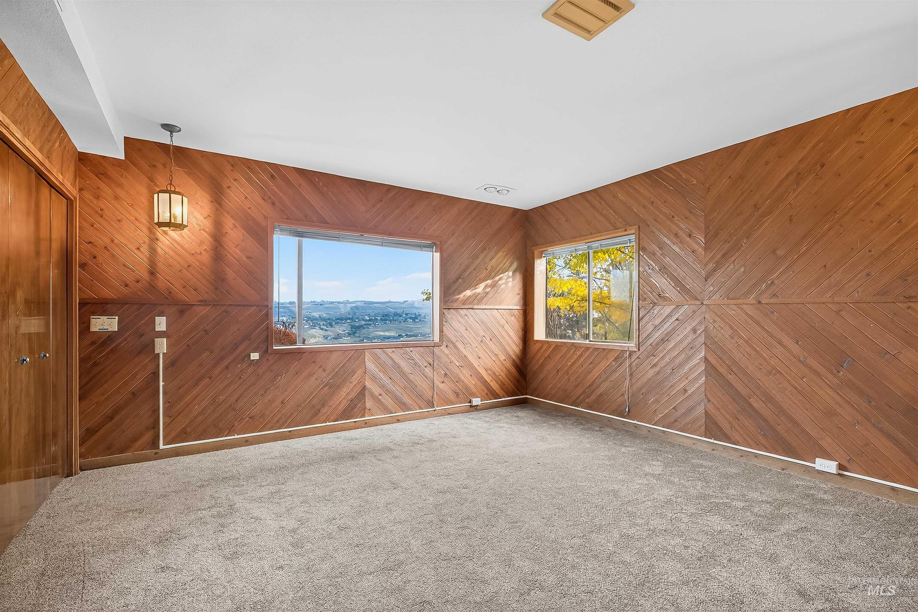 Carpeted spare room with wooden walls