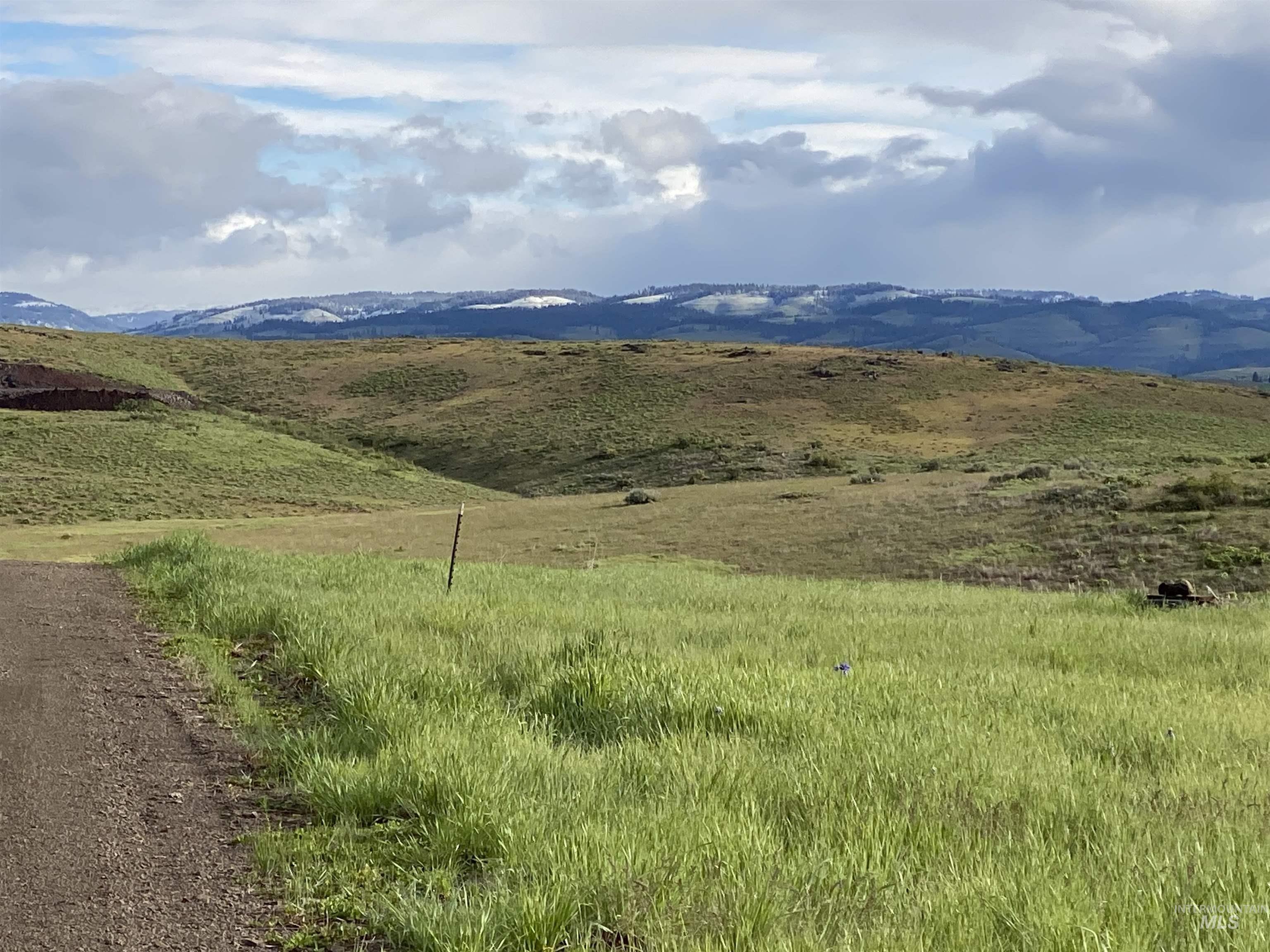 TBD Deer Loop Road (55 ac), Council, Idaho 83612, Land For Sale, Price $499,000, 98967556