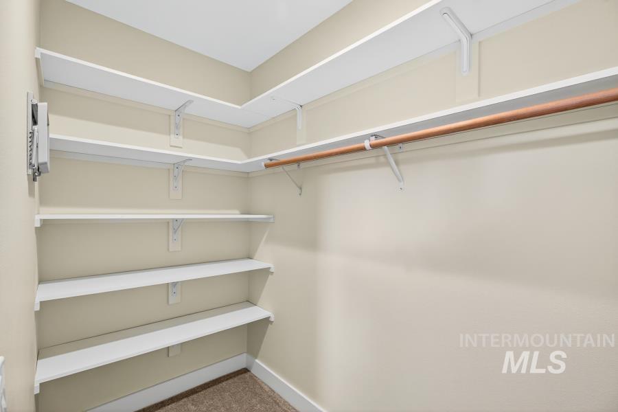 Spacious closet featuring light carpet