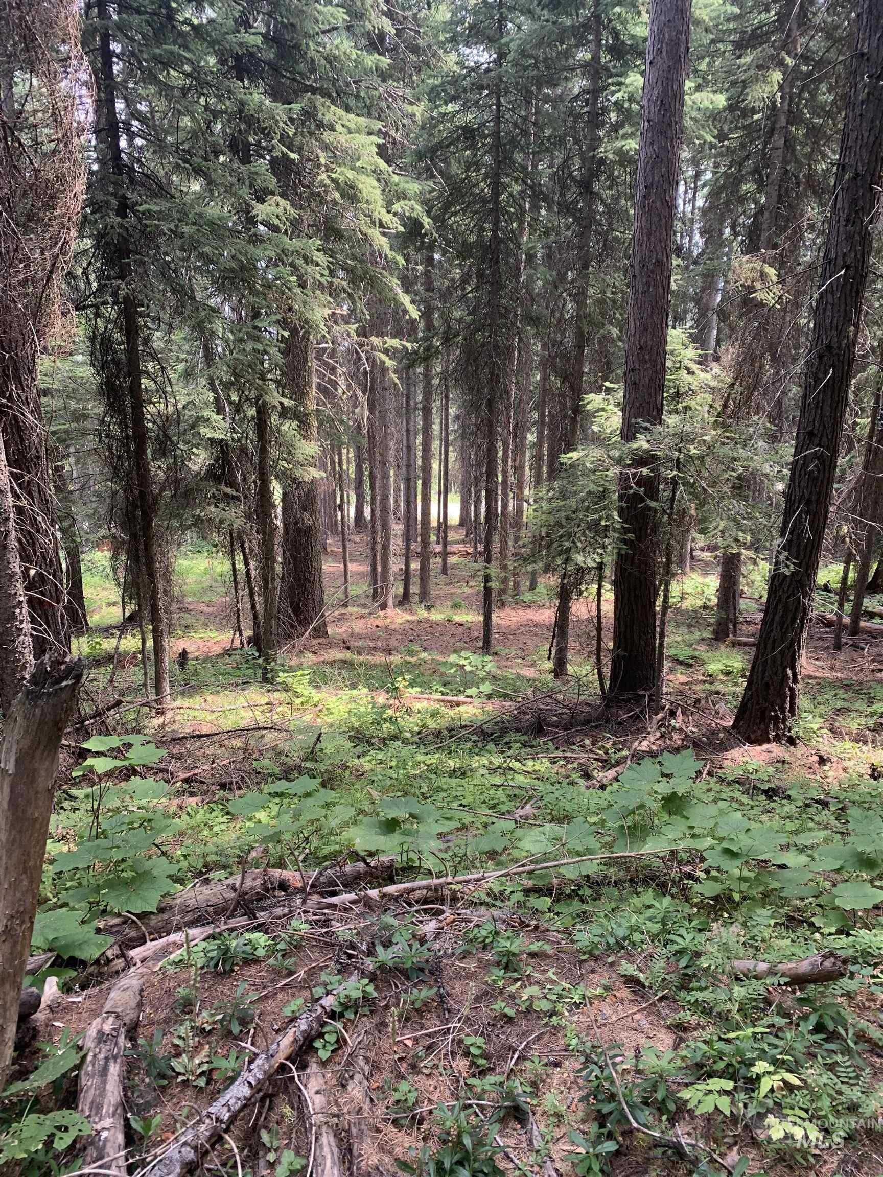 2267 Franks Road, Donnelly, Idaho 83615, Land For Sale, Price $399,900, 98967568