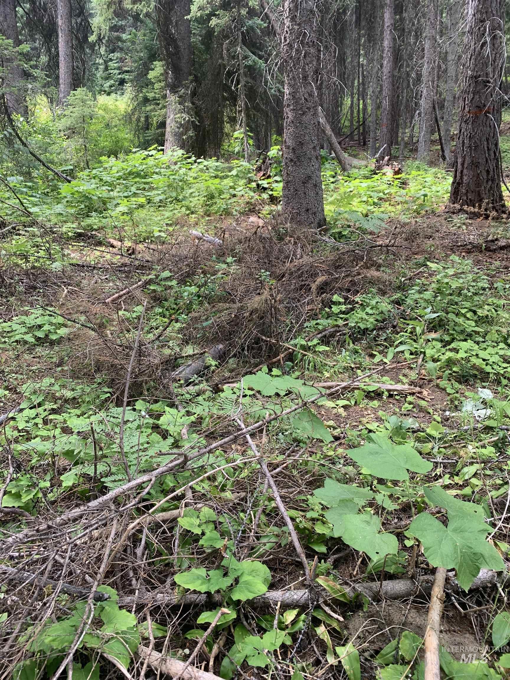 2267 Franks Road, Donnelly, Idaho 83615, Land For Sale, Price $399,900, 98967568