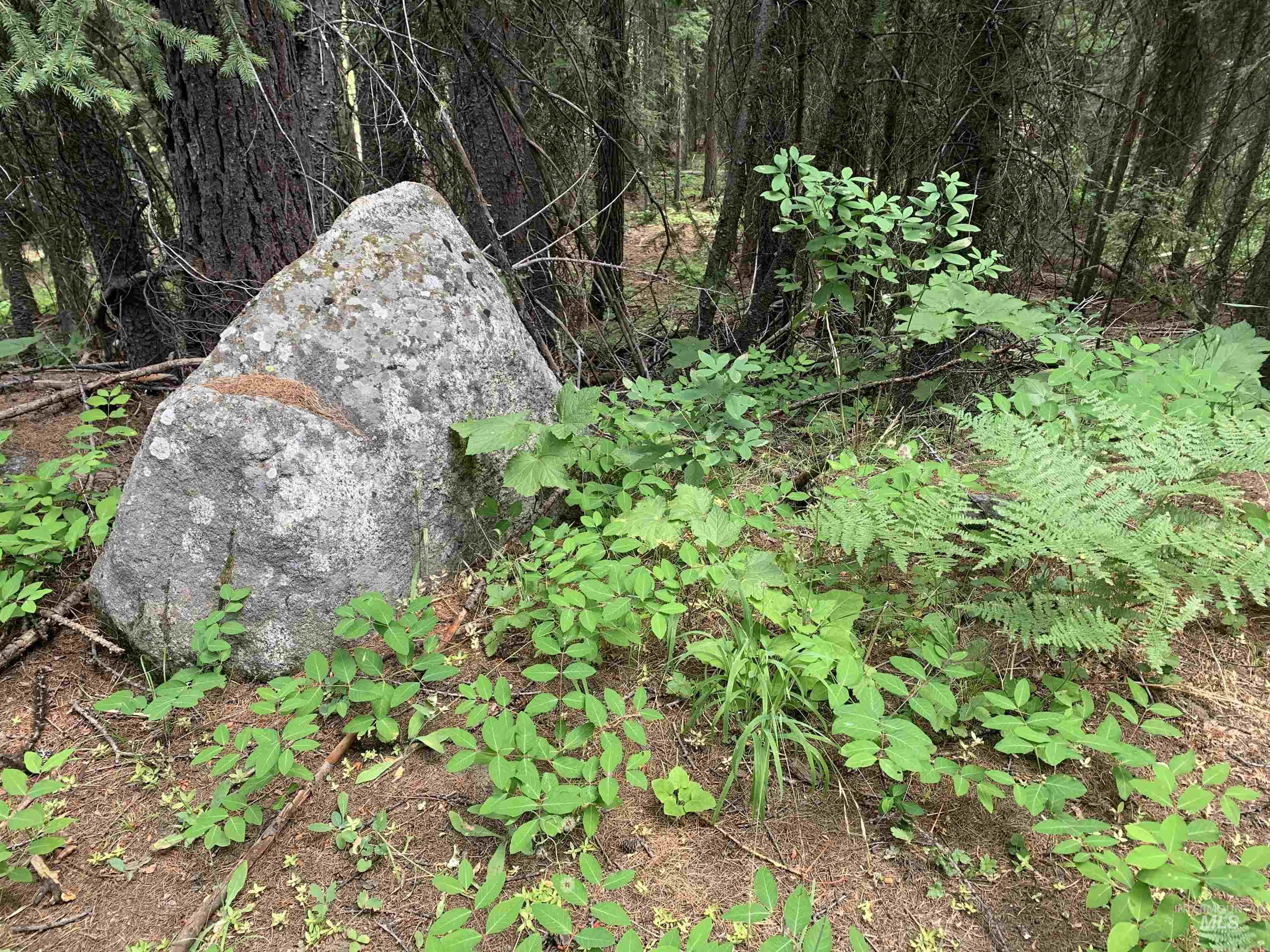 2267 Franks Road, Donnelly, Idaho 83615, Land For Sale, Price $399,900, 98967568