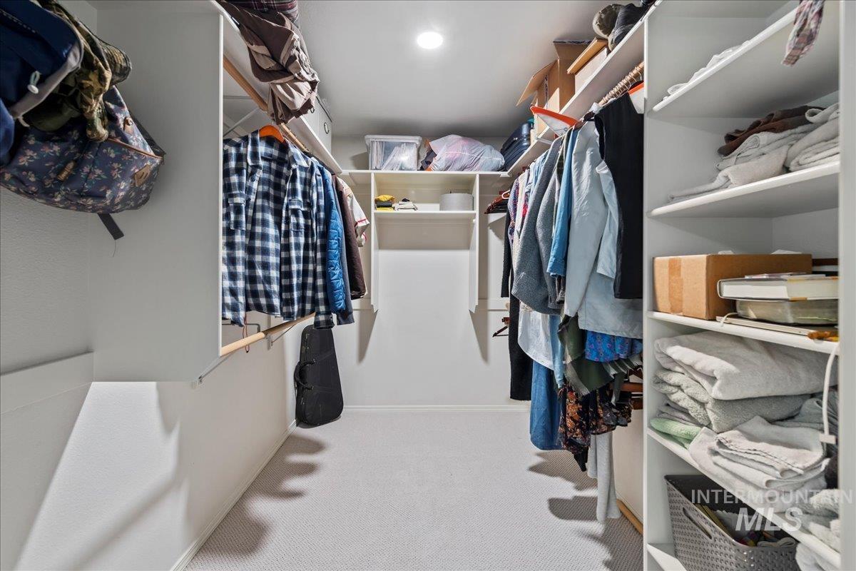 Walk in closet featuring carpet floors