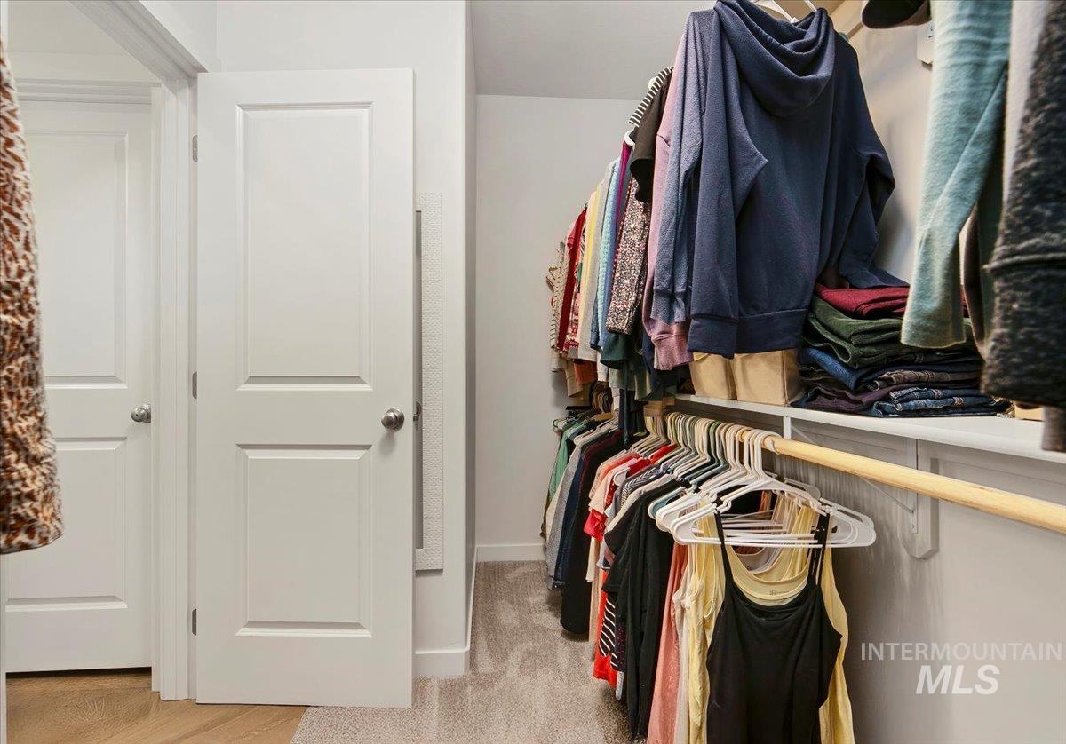 Walk in closet with light carpet