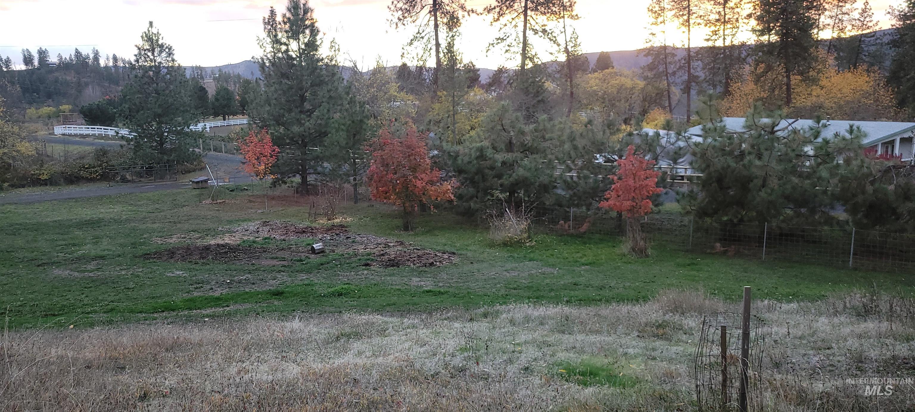 Yard at dusk with a mountain view
