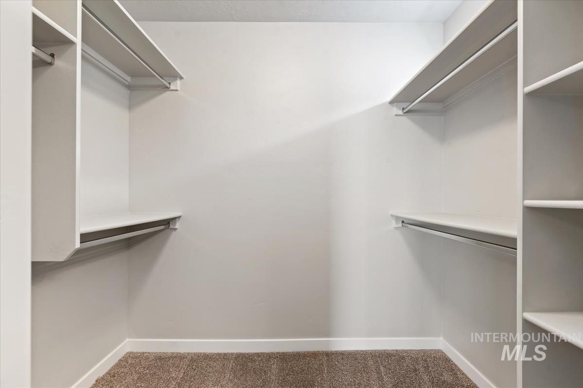 Spacious closet featuring carpet floors