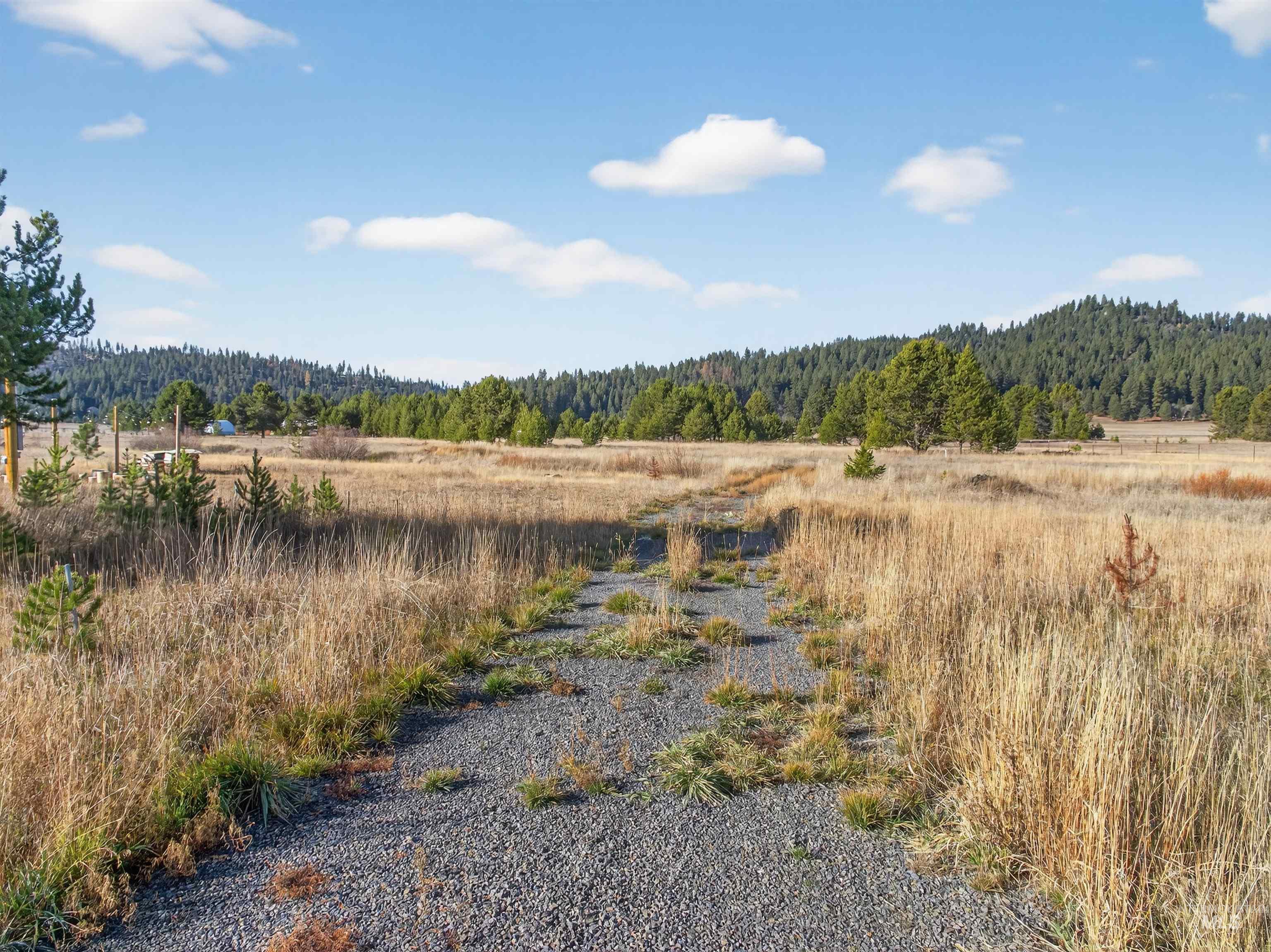 10201 Packsaddle Rd, Cascade, Idaho 83611, Land For Sale, Price $279,900, 98967626