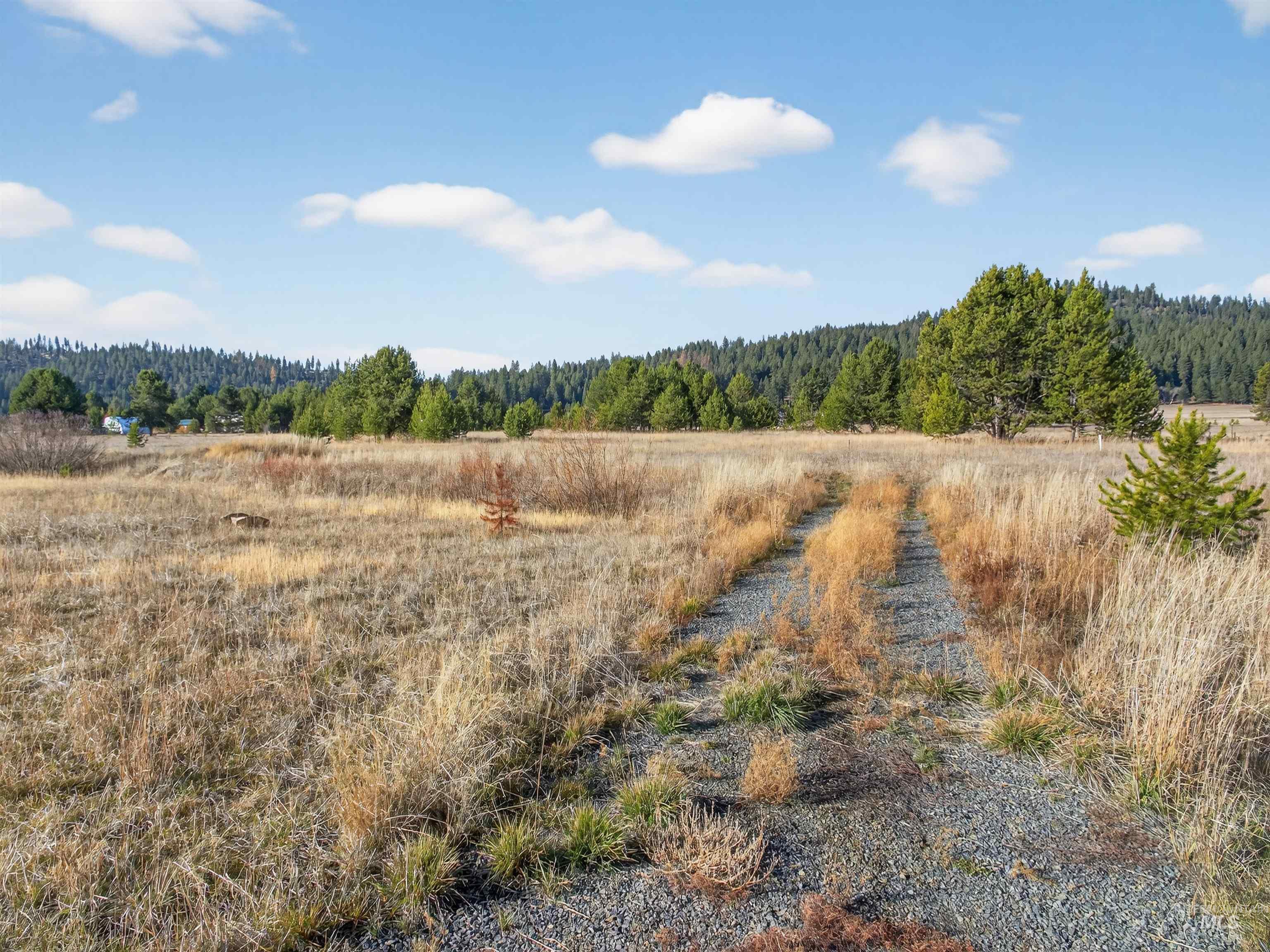 10201 Packsaddle Rd, Cascade, Idaho 83611, Land For Sale, Price $279,900, 98967626