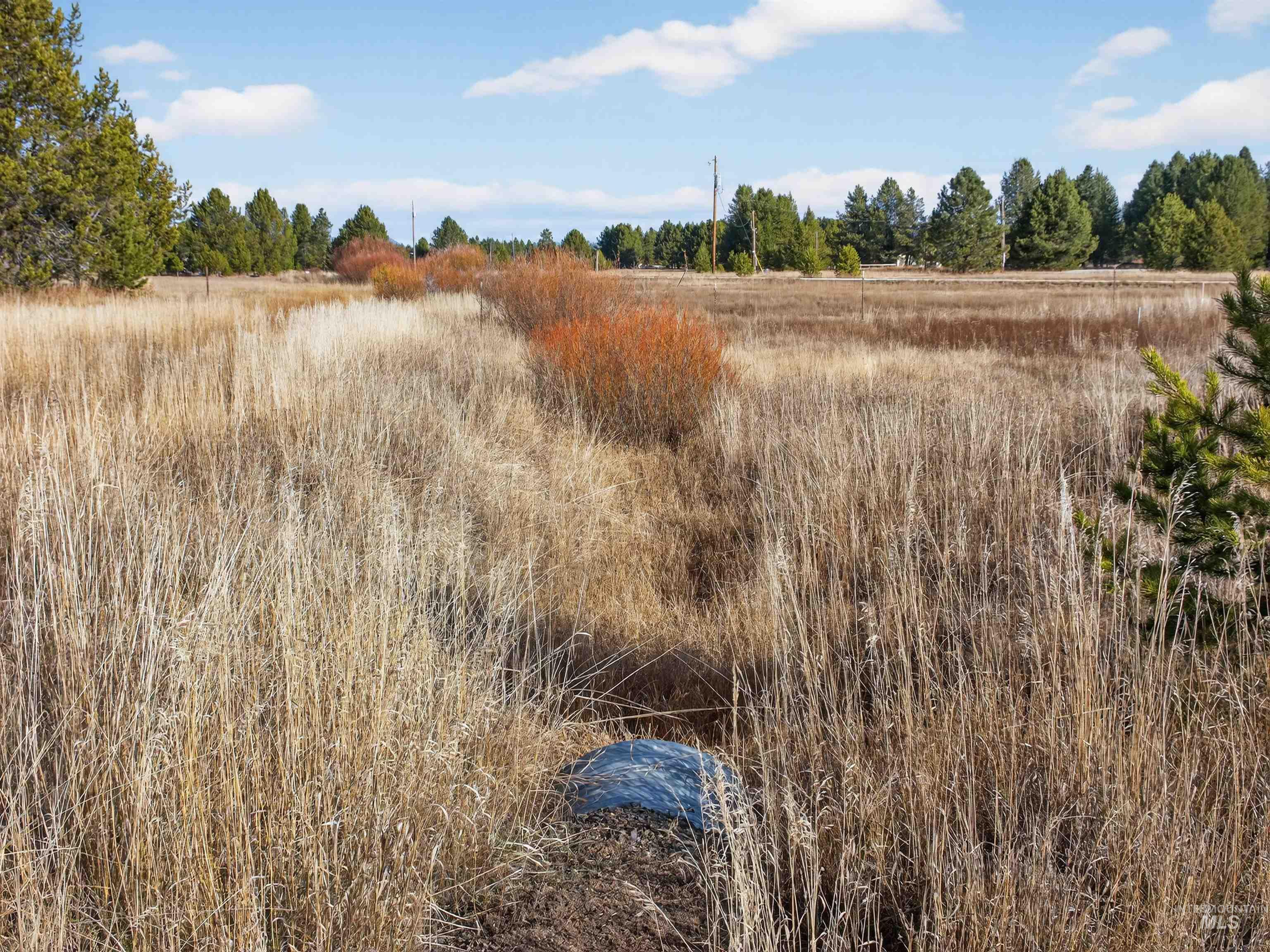 10201 Packsaddle Rd, Cascade, Idaho 83611, Land For Sale, Price $279,900, 98967626