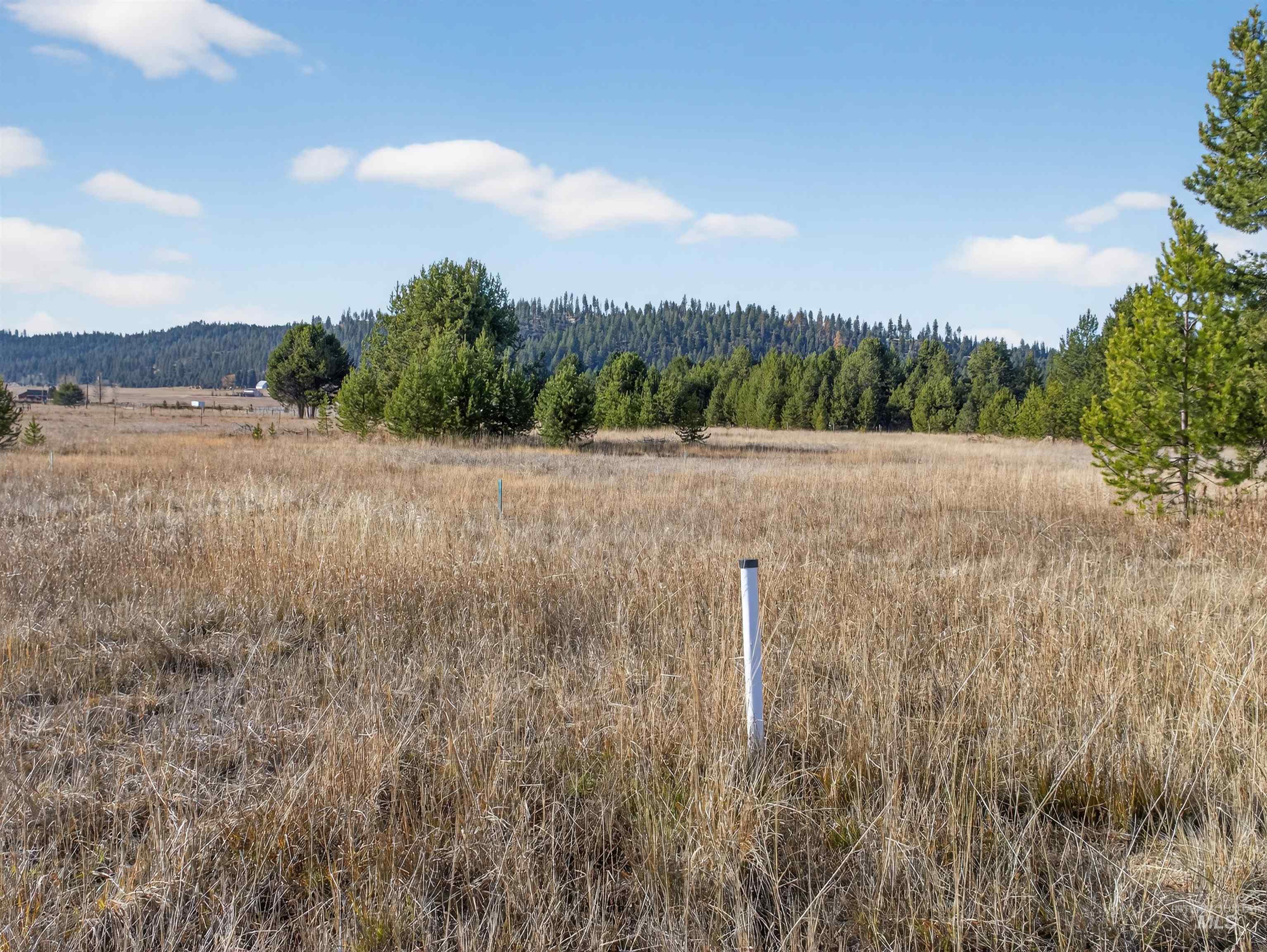 10201 Packsaddle Rd, Cascade, Idaho 83611, Land For Sale, Price $279,900, 98967626