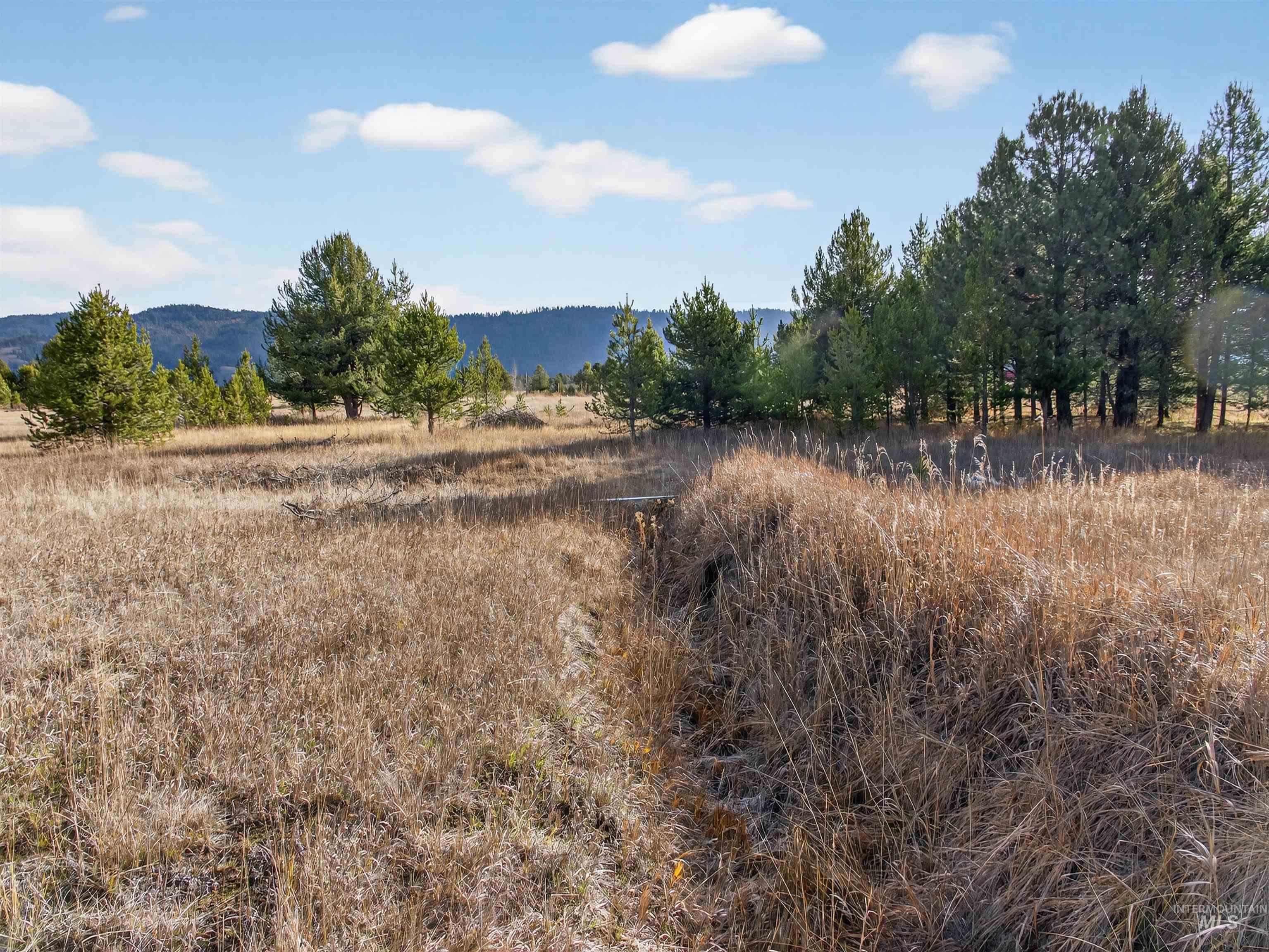 10201 Packsaddle Rd, Cascade, Idaho 83611, Land For Sale, Price $279,900, 98967626