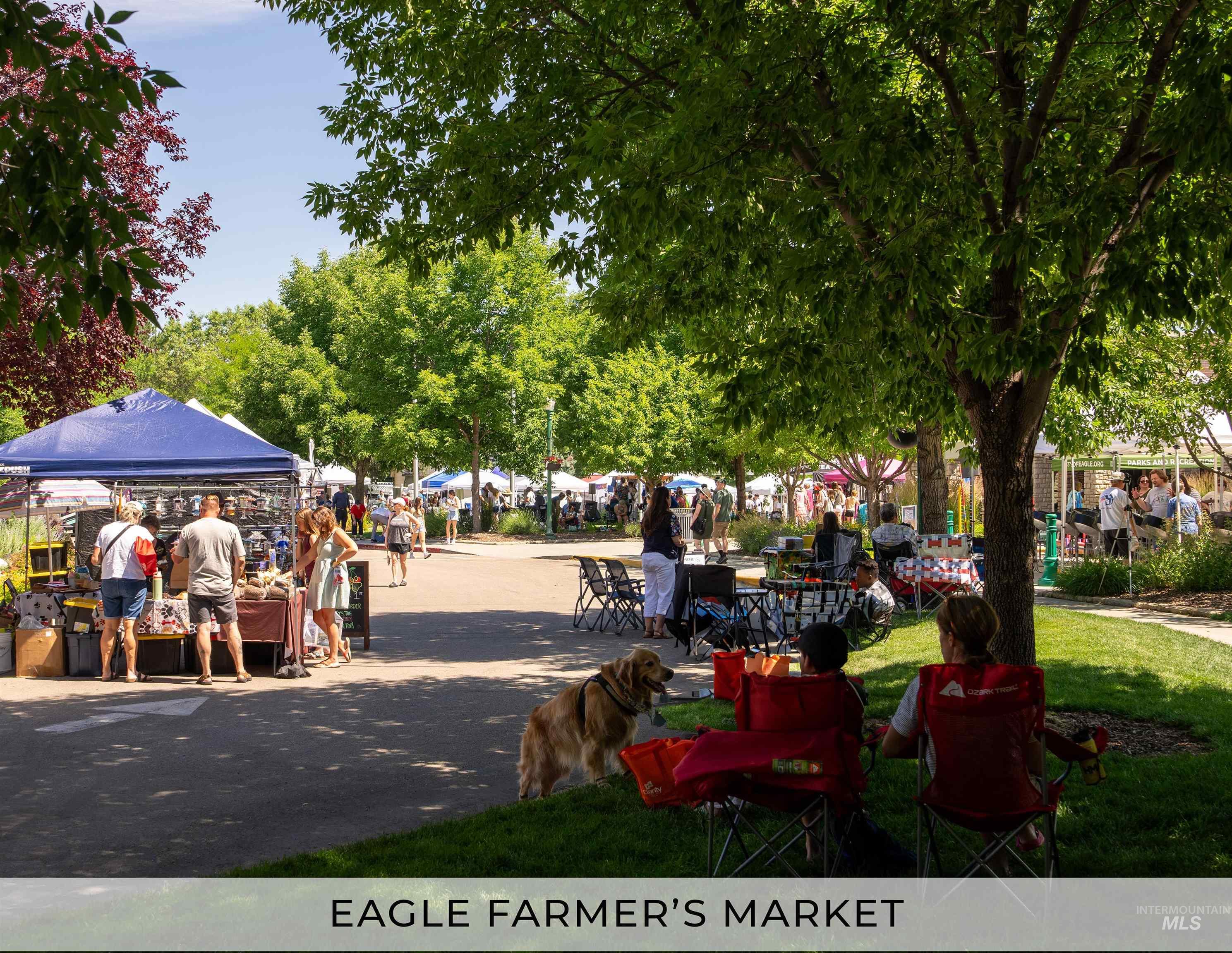 335 E Lombard Ln, Eagle, Idaho 83616, 3 Bedrooms, 2.5 Bathrooms, Residential For Sale, Price $588,995, 98967628