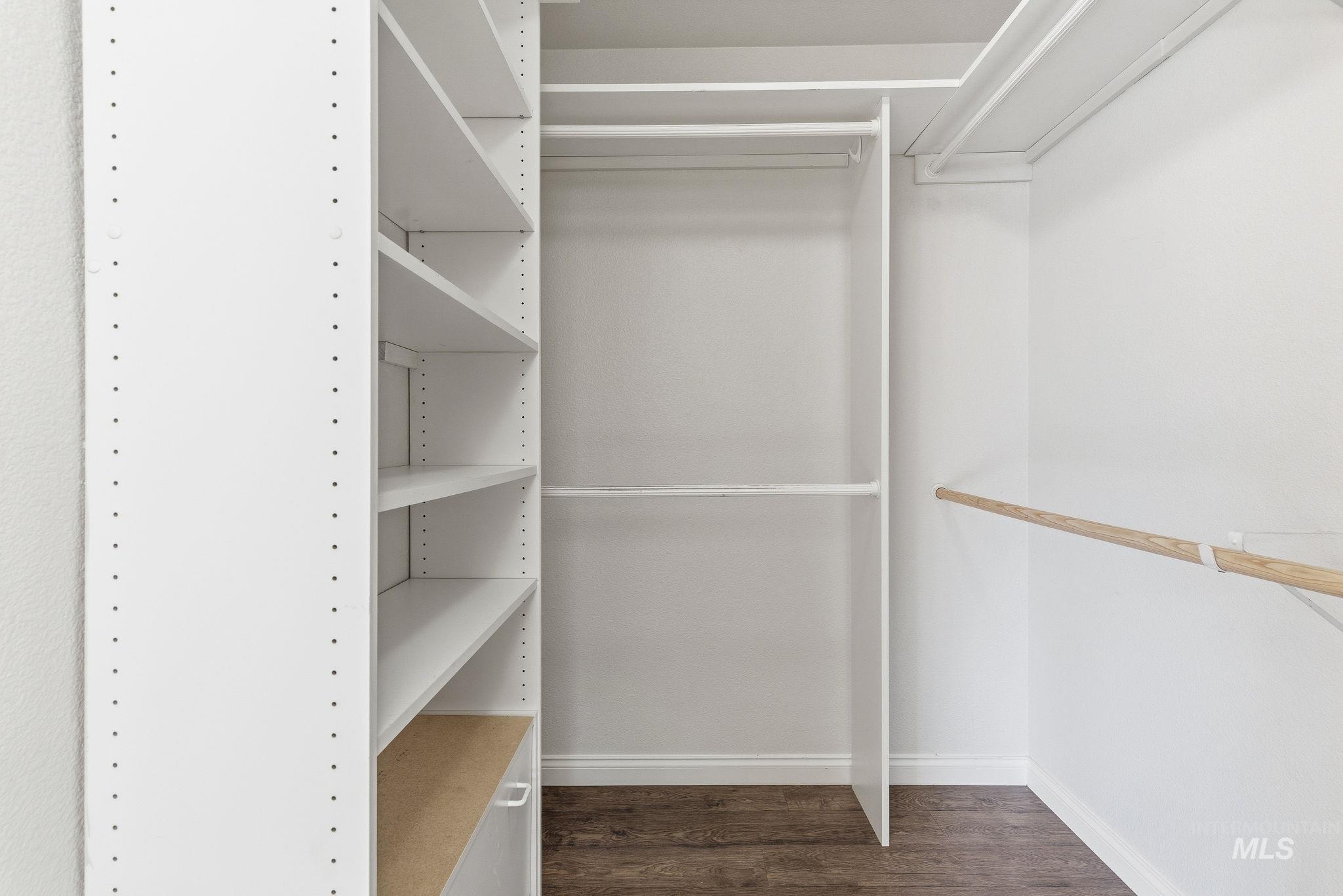 Spacious closet featuring dark wood-type flooring