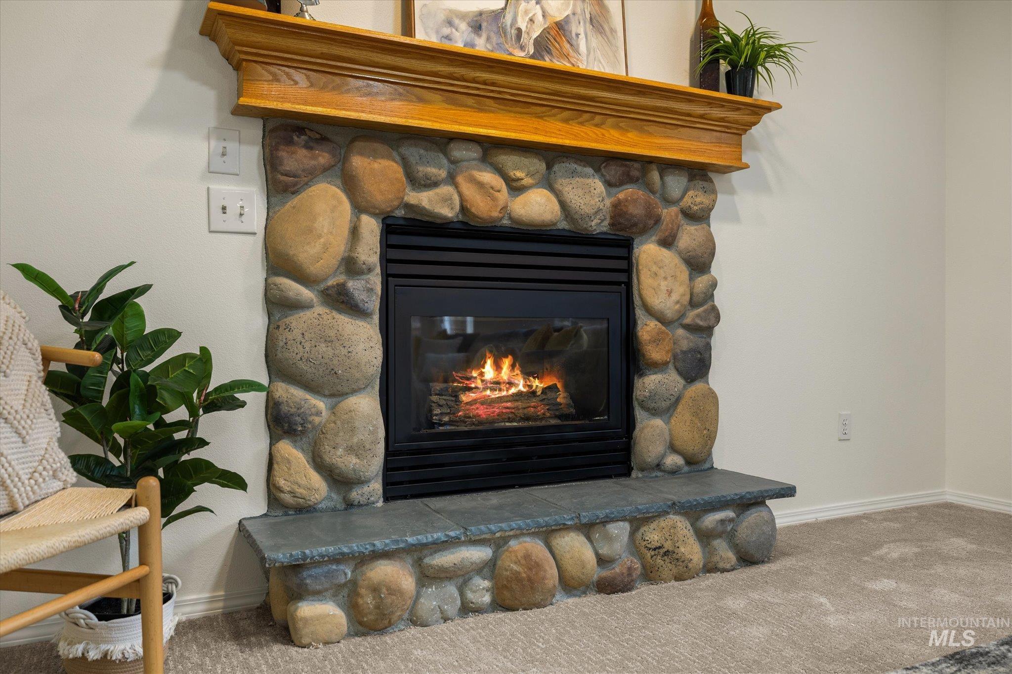 Detailed view of carpet and a stone fireplace