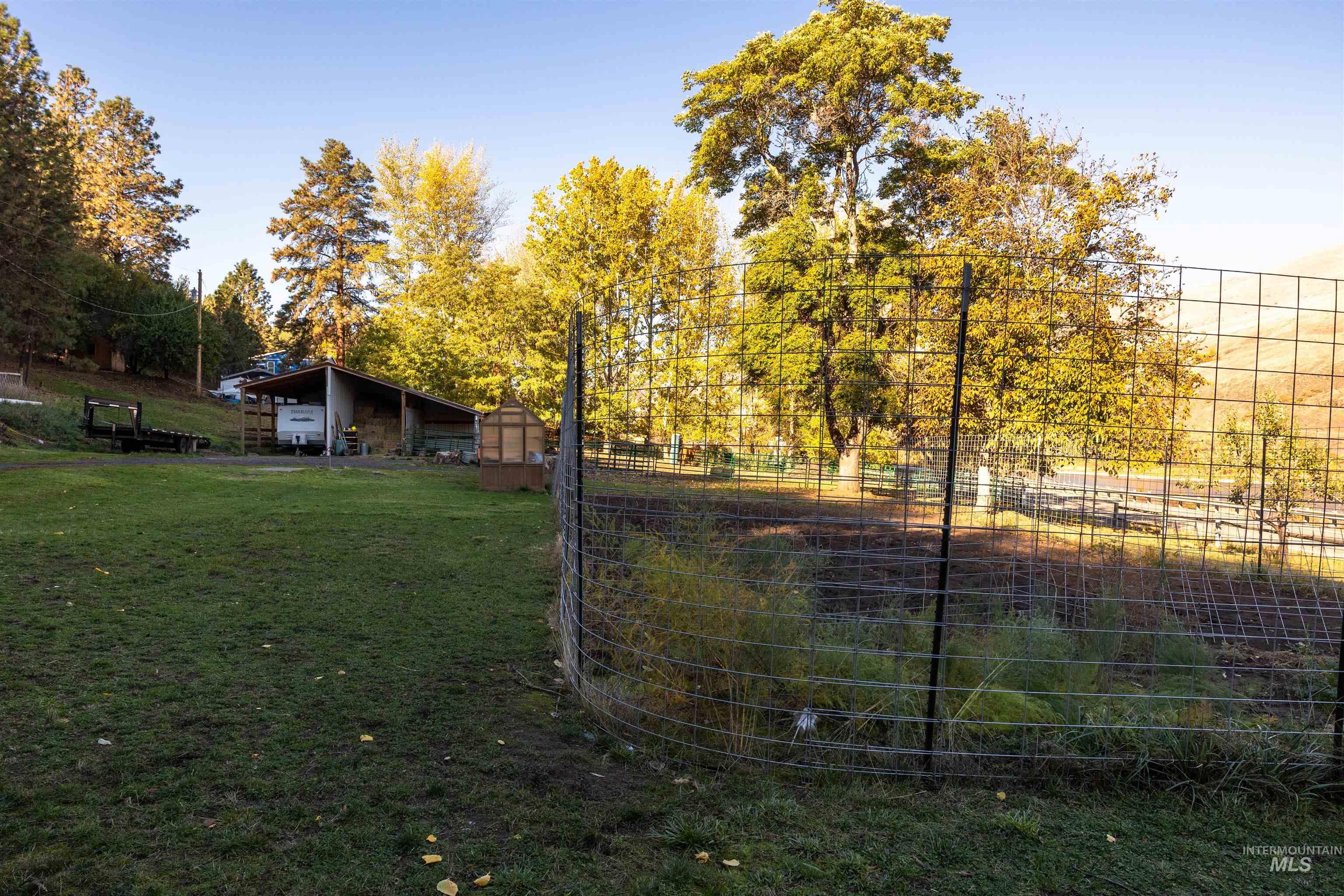 View of yard featuring an outbuilding and view of wooded area