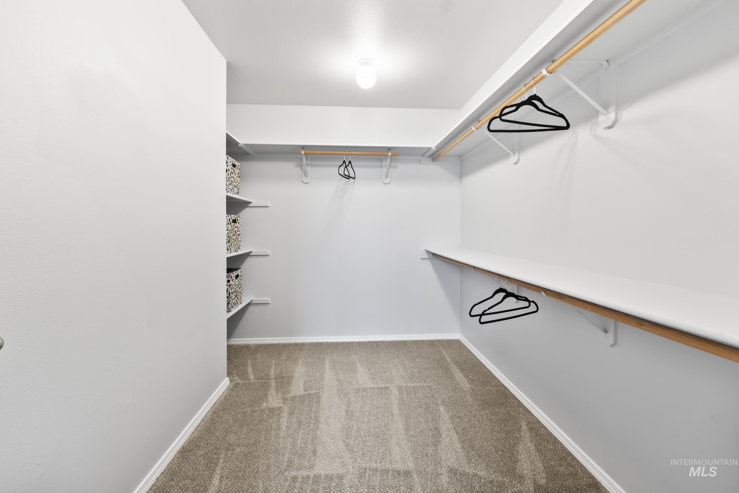 Spacious closet featuring light carpet