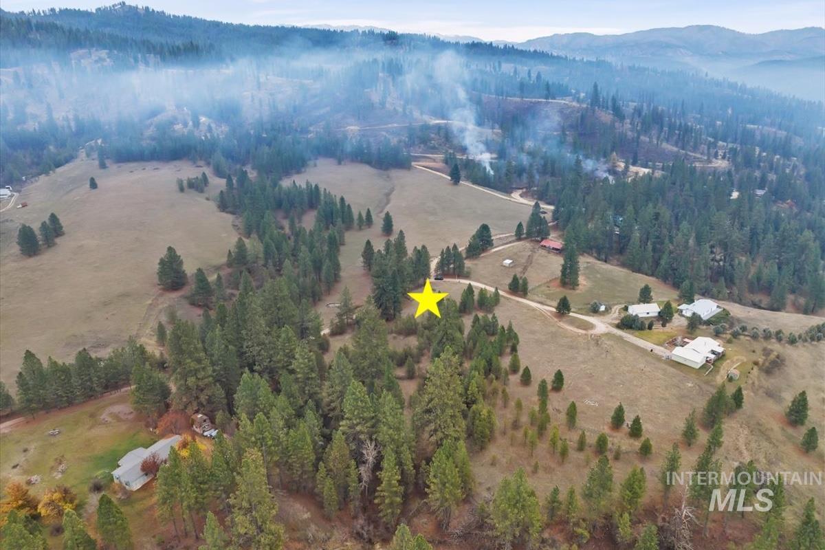Bird's eye view of a forest