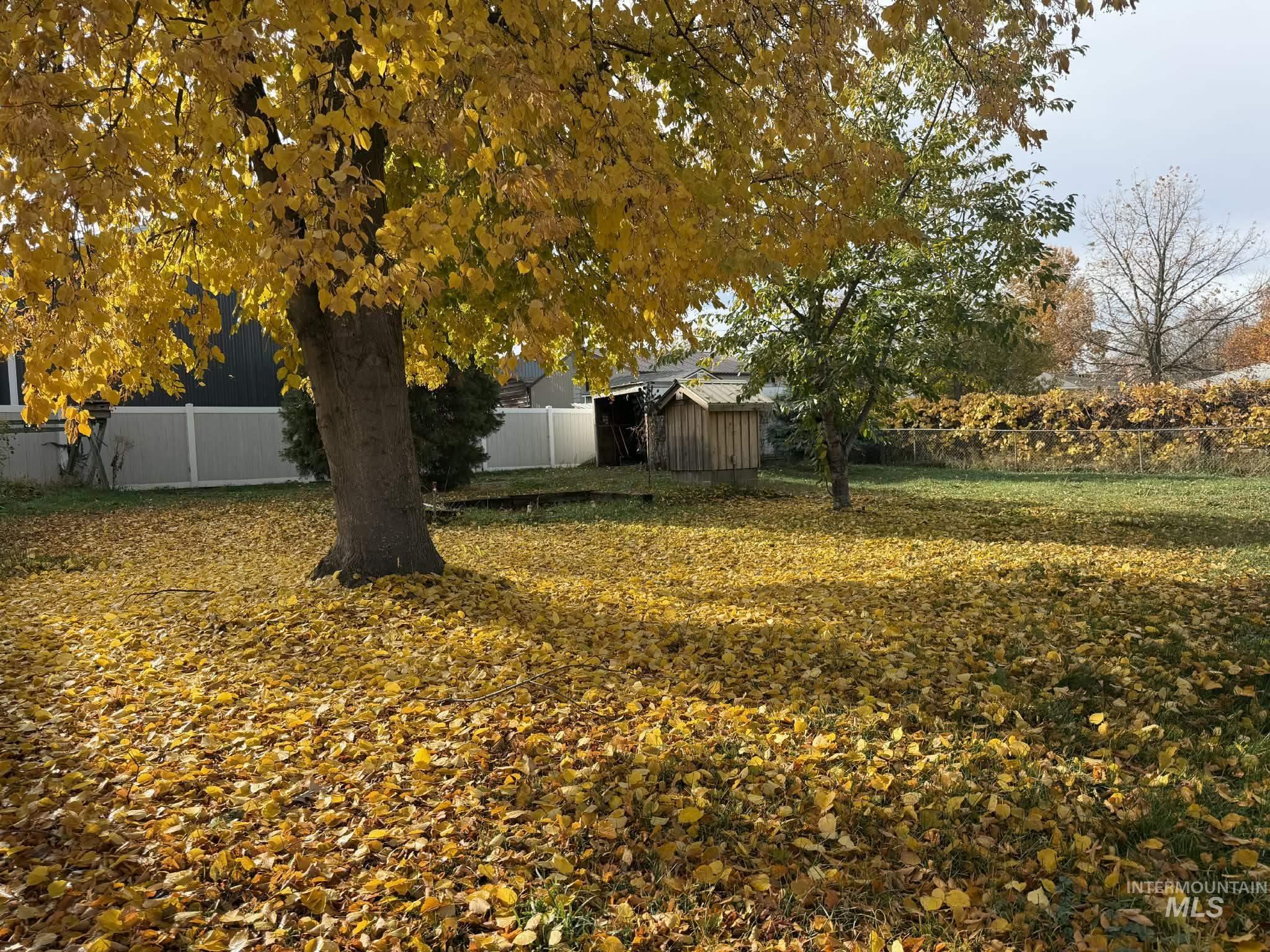 Fenced backyard featuring a storage shed