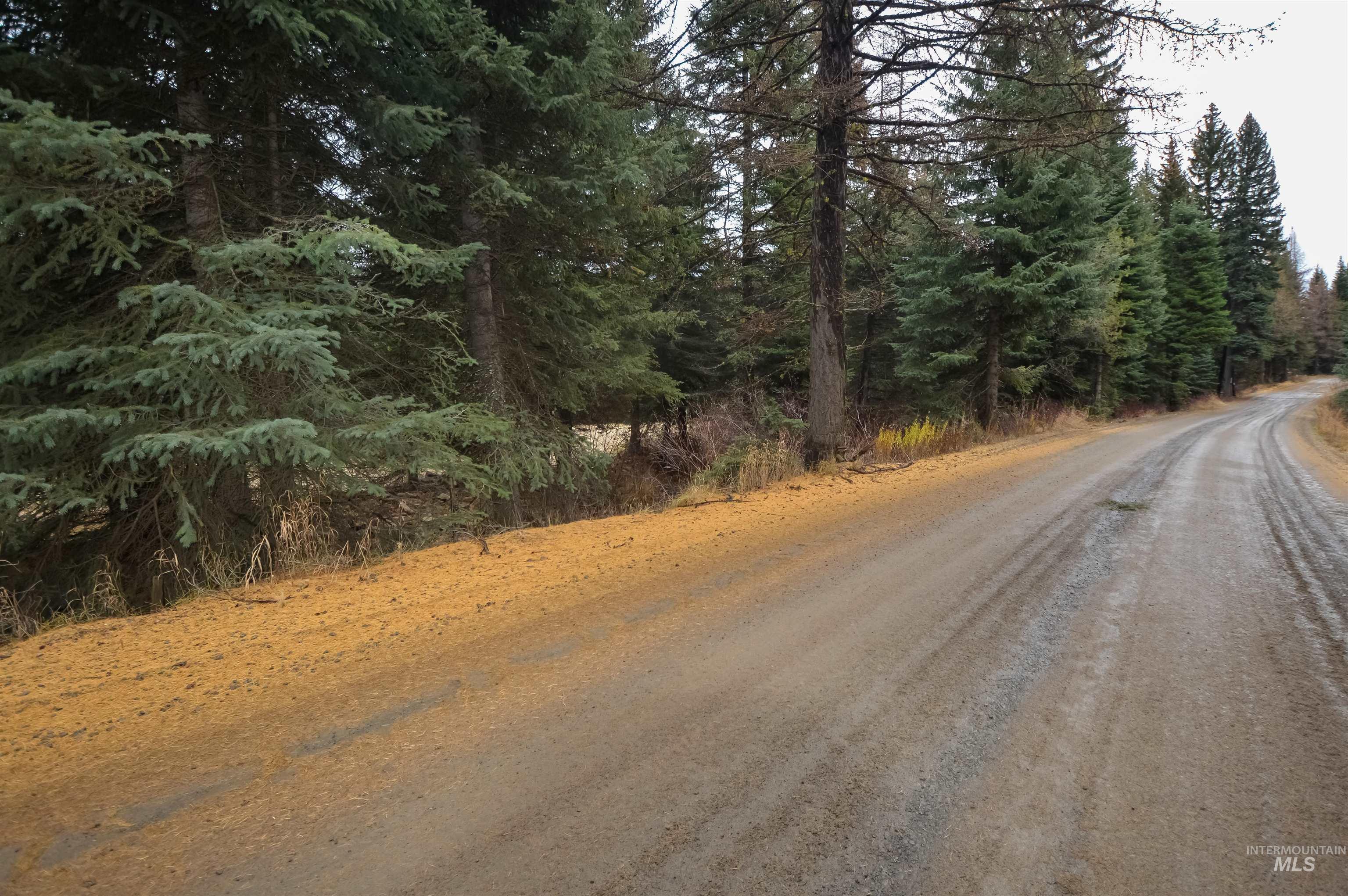 TBD No Business Road, Donnelly, Idaho 83615, Land For Sale, Price $350,000,MLS 98967674