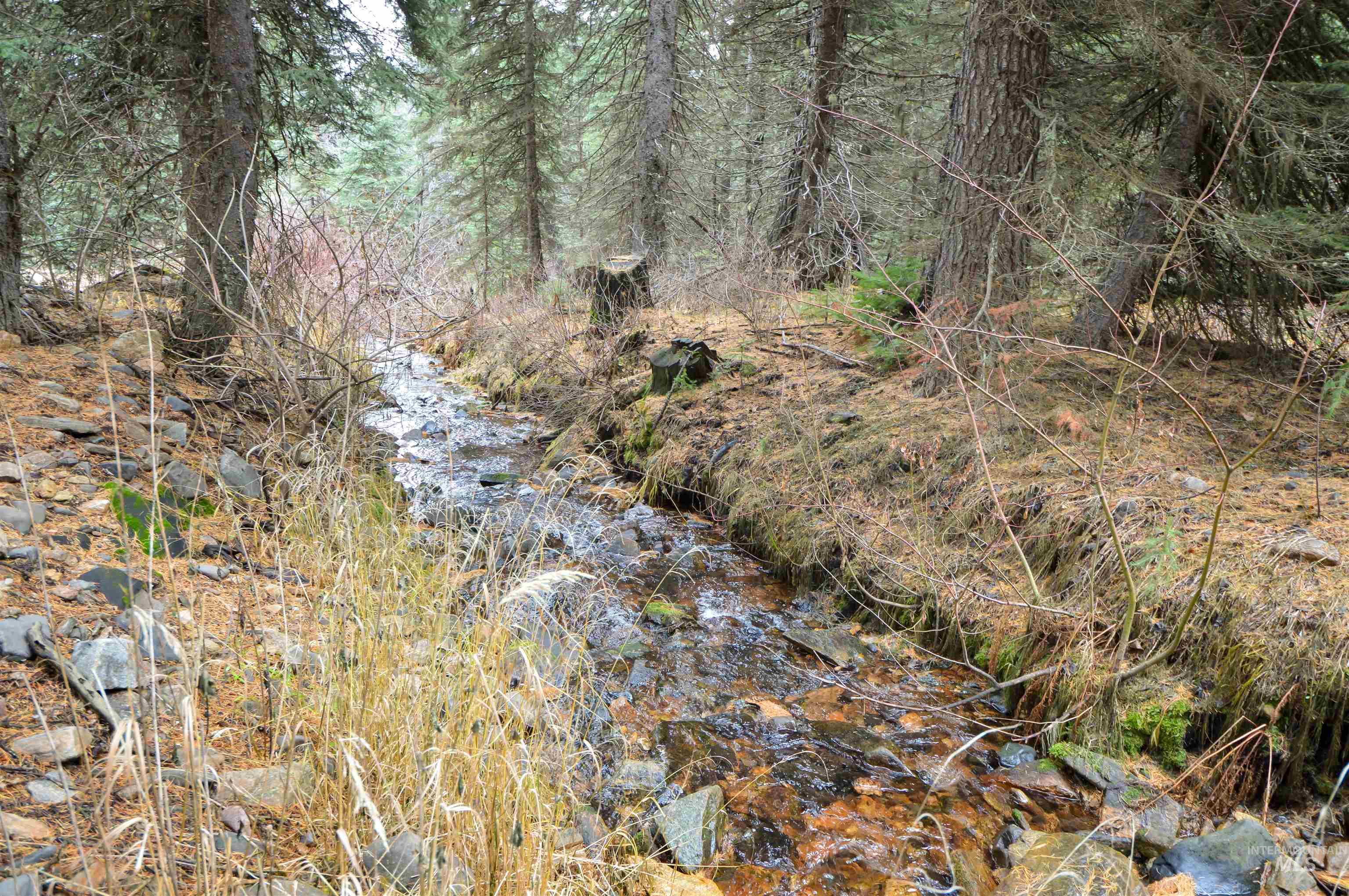 TBD No Business Road, Donnelly, Idaho 83615, Land For Sale, Price $350,000,MLS 98967674