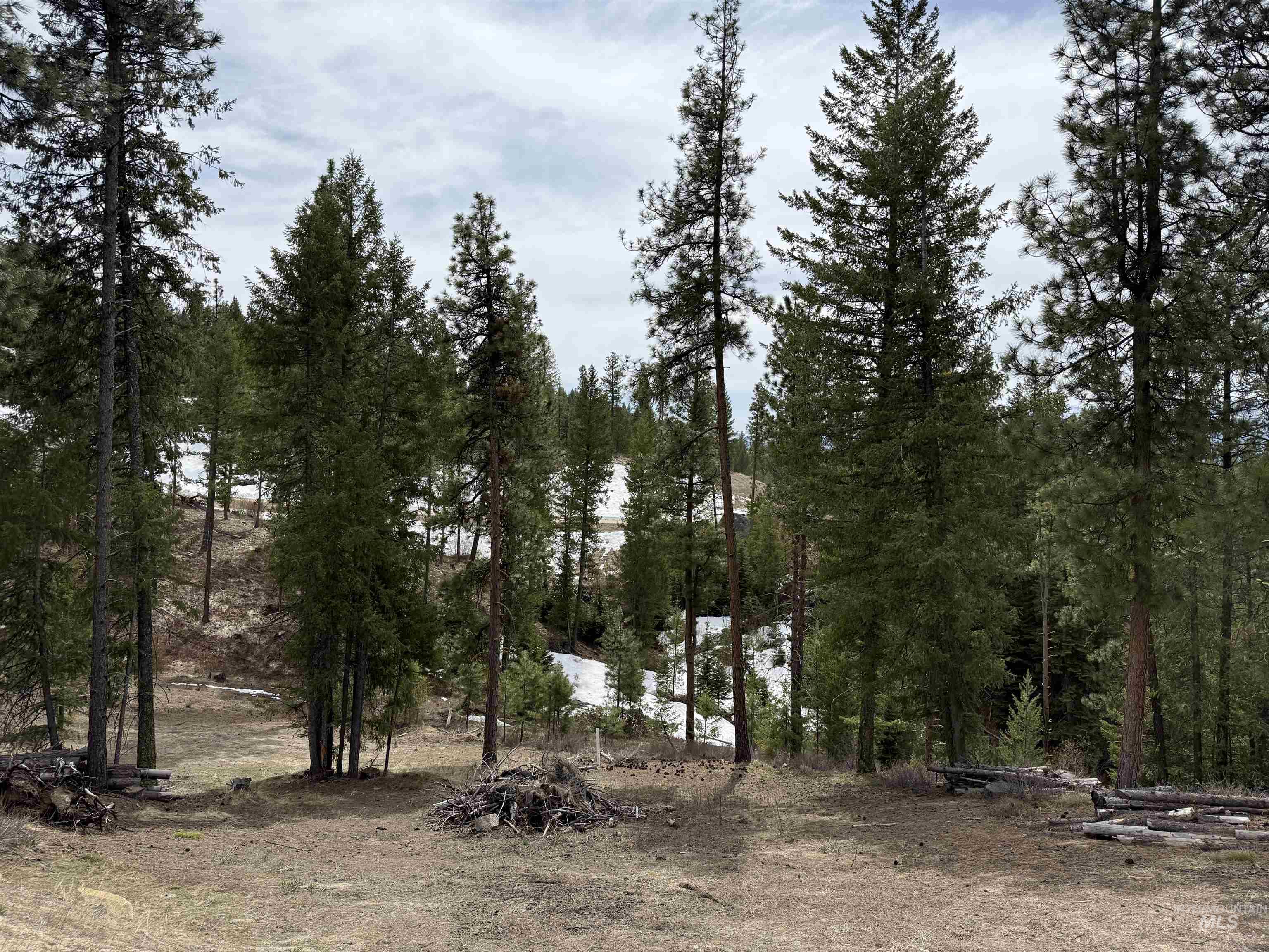33 San Ignacio Way, Cascade, Idaho 83611, Land For Sale, Price $315,000, 98967694