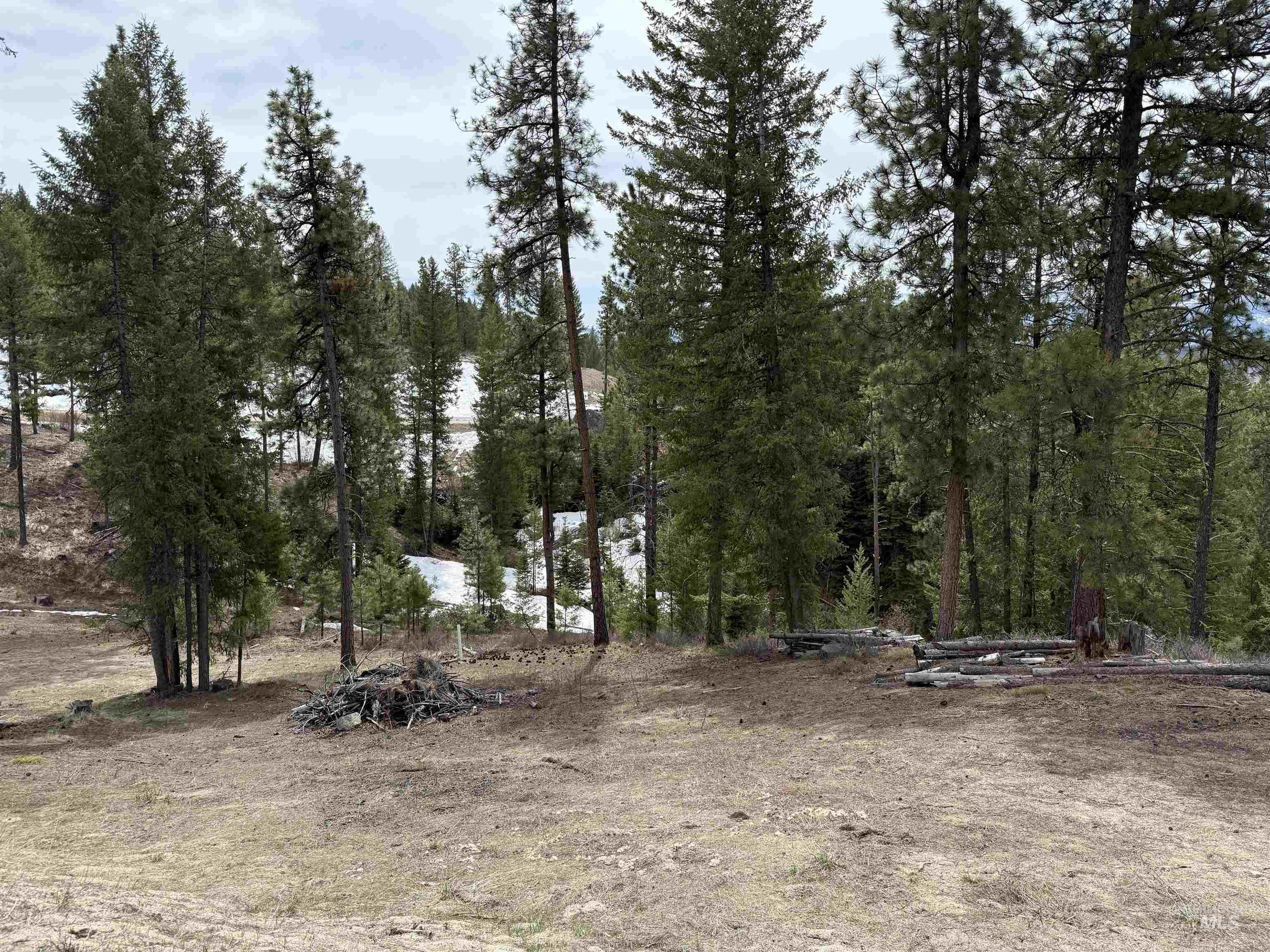 33 San Ignacio Way, Cascade, Idaho 83611, Land For Sale, Price $315,000, 98967694