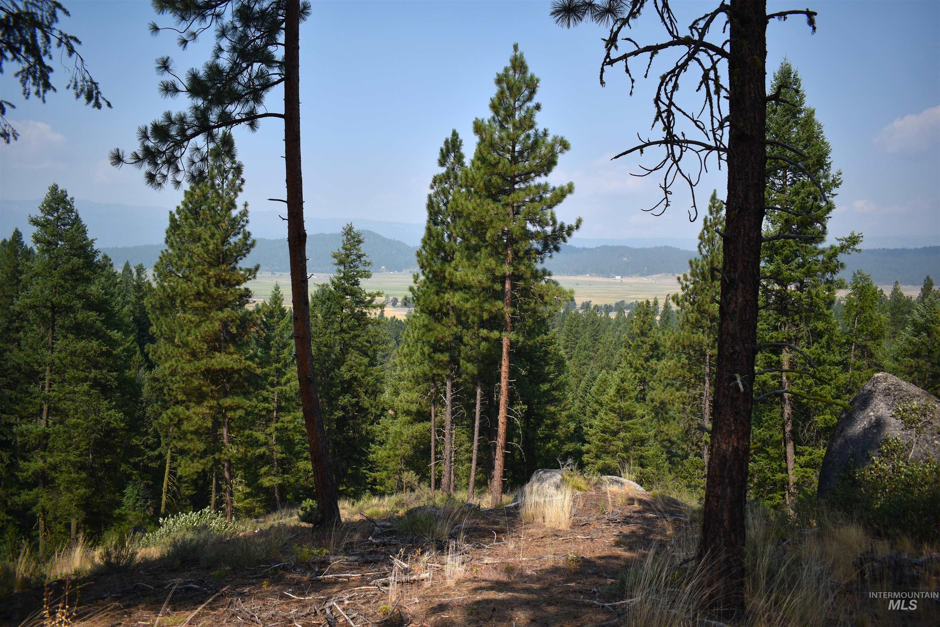 33 San Ignacio Way, Cascade, Idaho 83611, Land For Sale, Price $315,000, 98967694