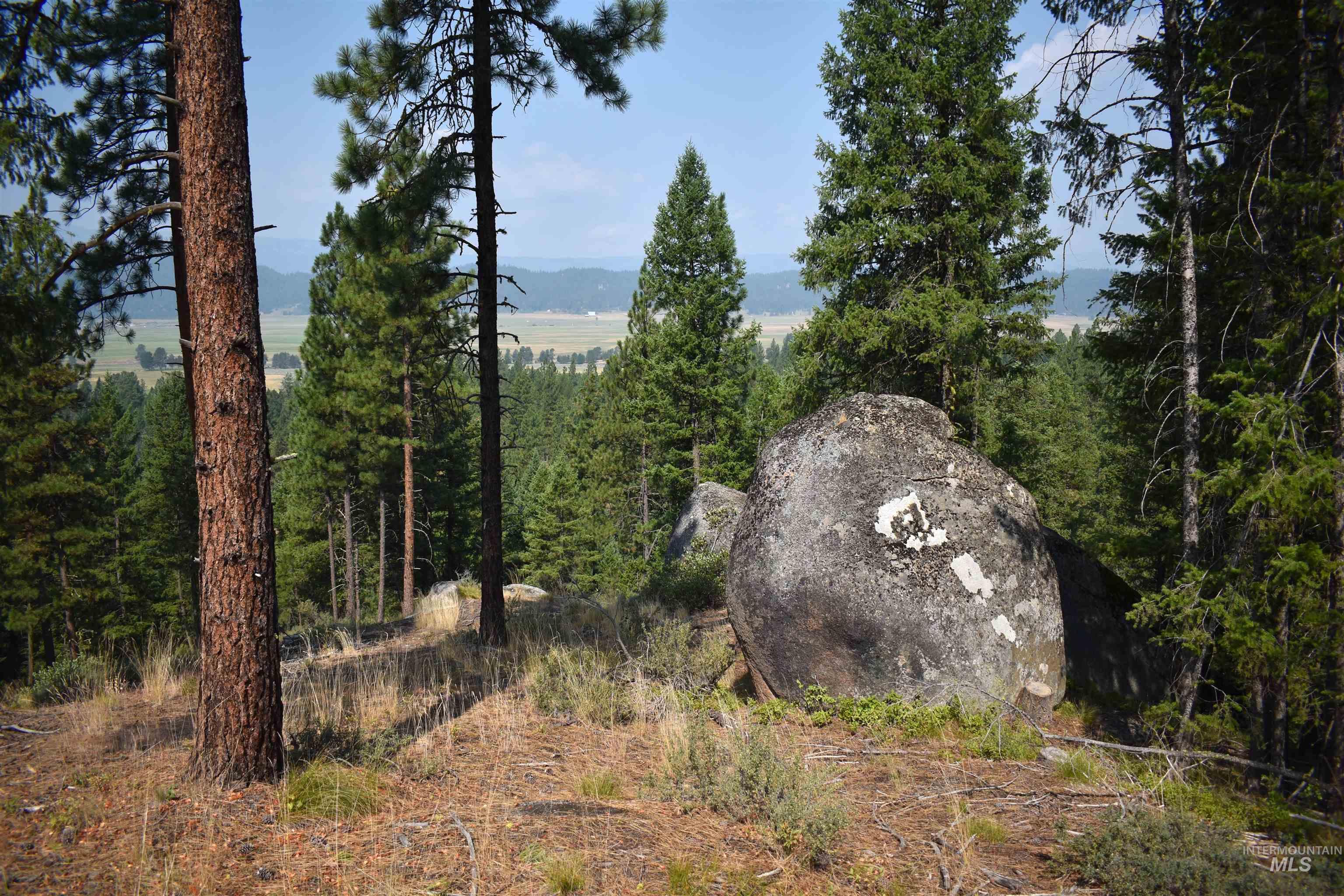 33 San Ignacio Way, Cascade, Idaho 83611, Land For Sale, Price $315,000, 98967694