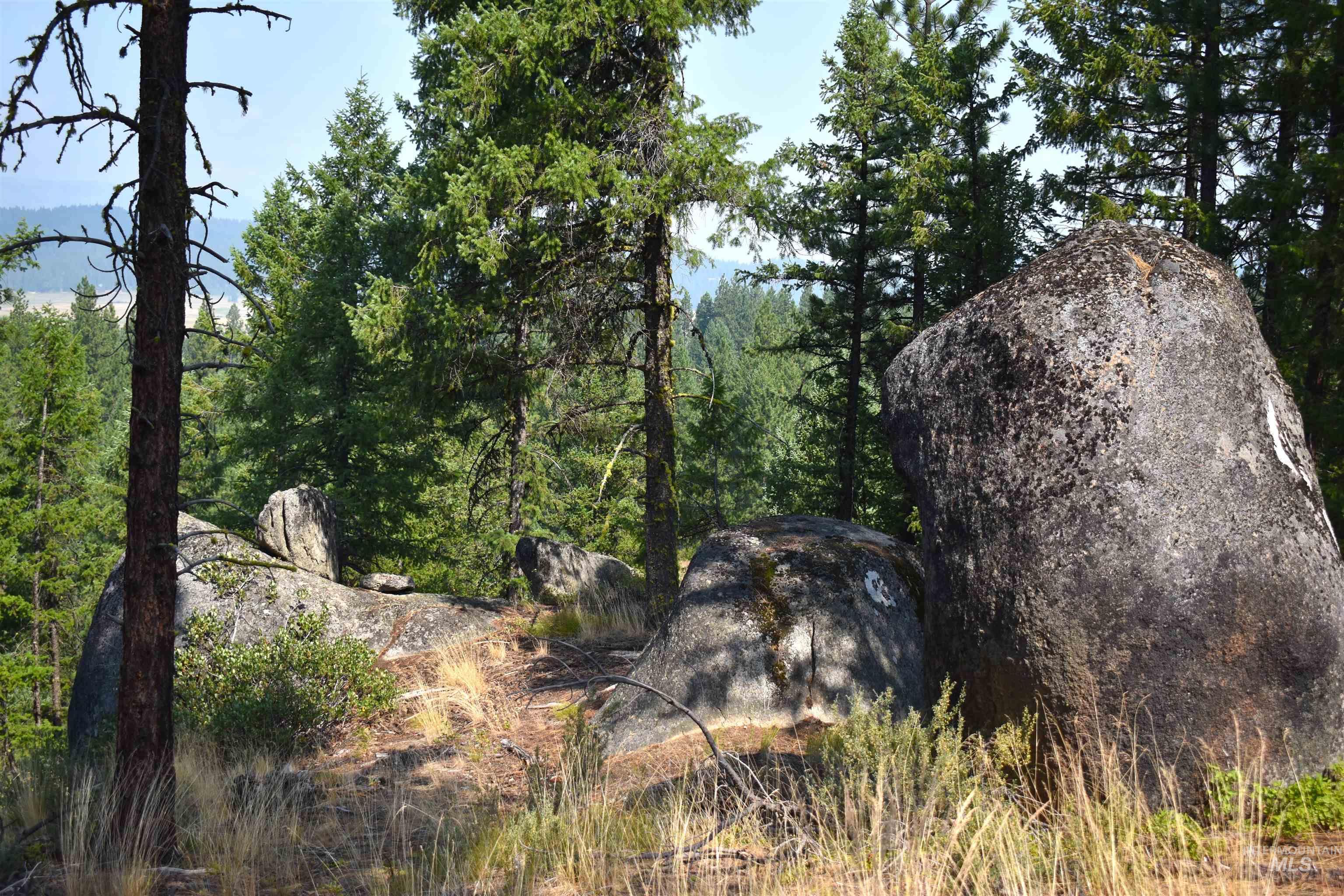 33 San Ignacio Way, Cascade, Idaho 83611, Land For Sale, Price $315,000, 98967694