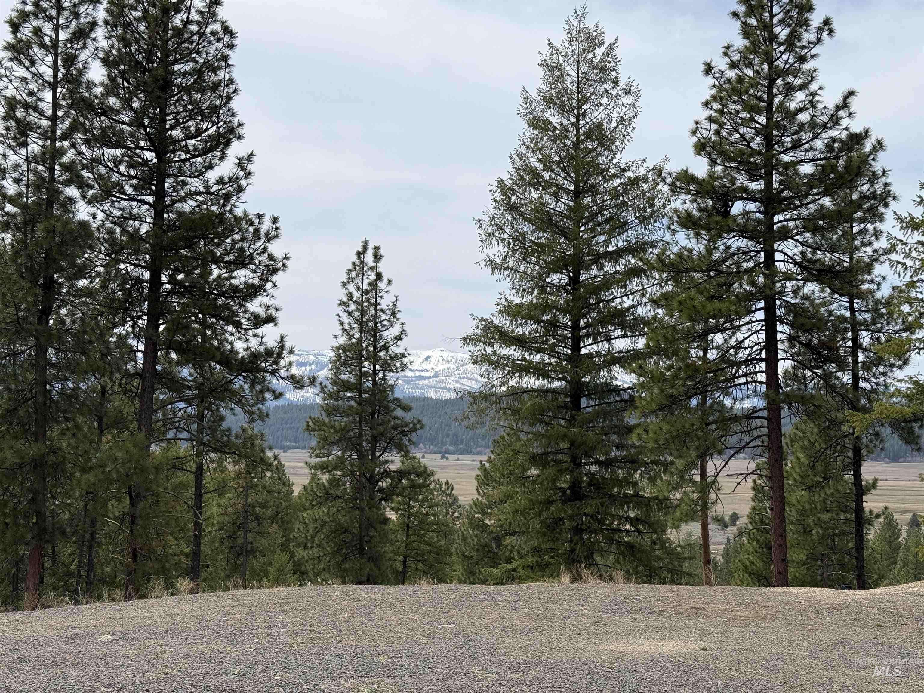 33 San Ignacio Way, Cascade, Idaho 83611, Land For Sale, Price $315,000, 98967694